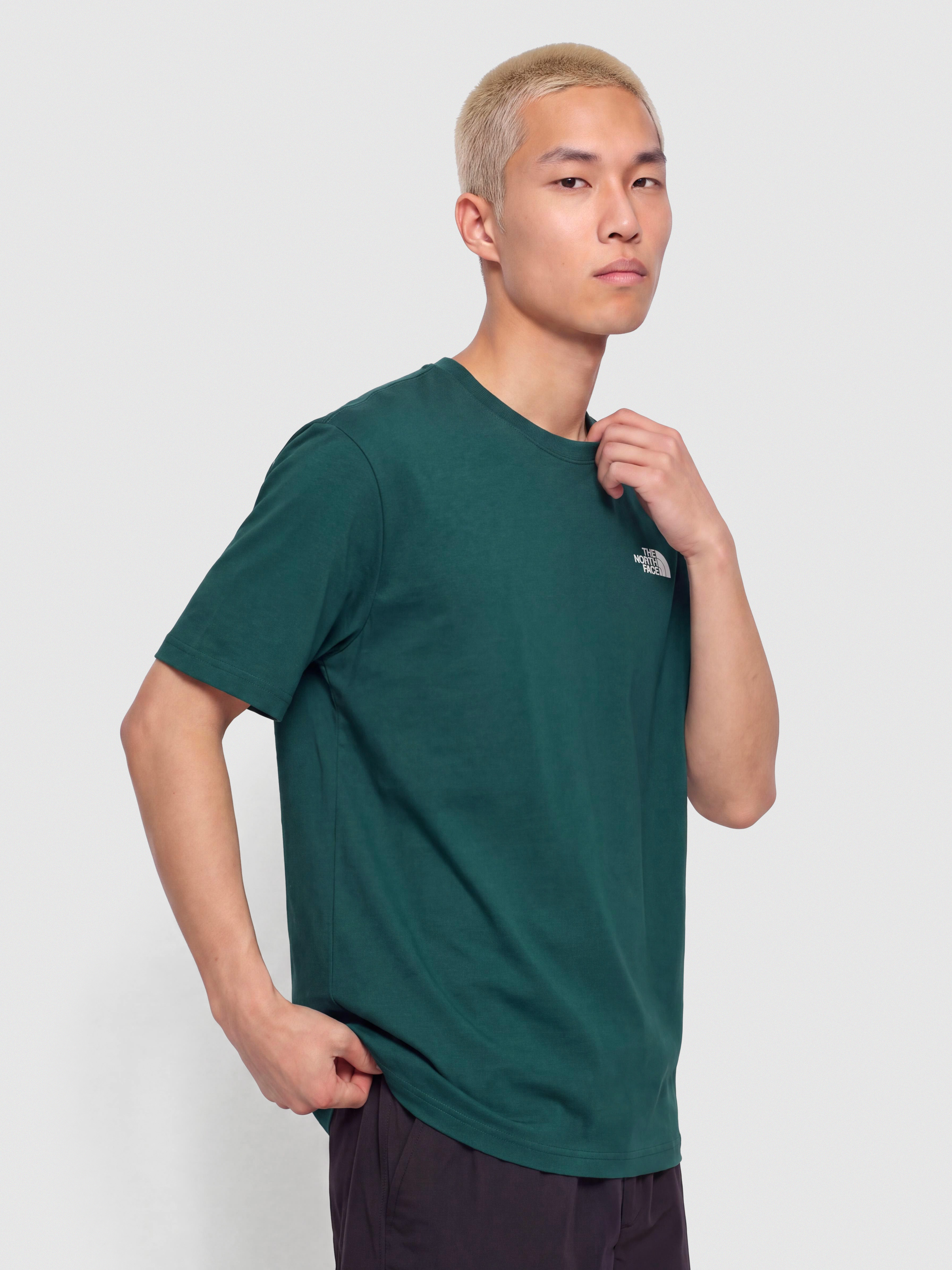 T-shirt The North Face Evolution Simple Dome (pacific teal)