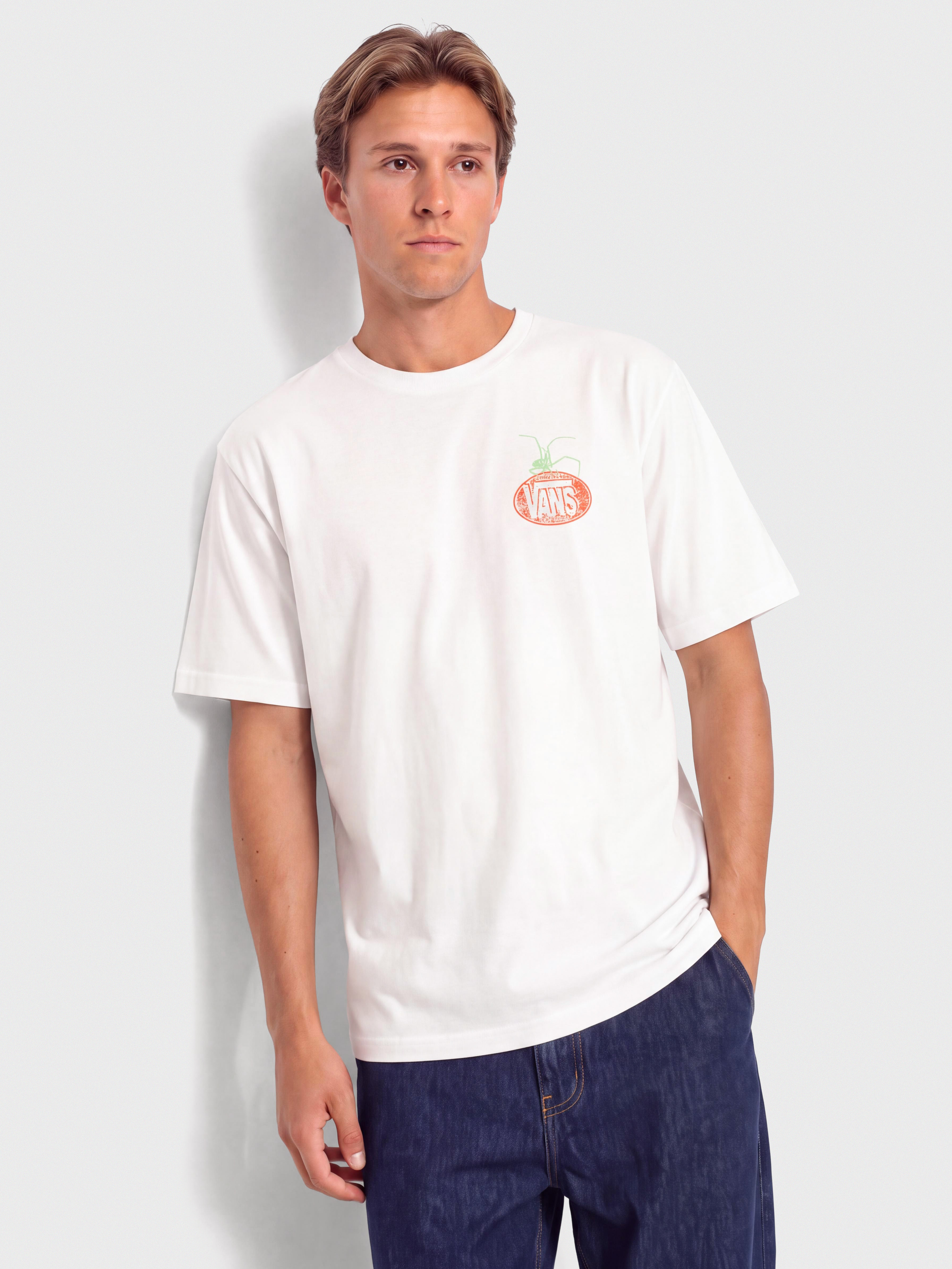 T-shirt Vans Artifacts (white)