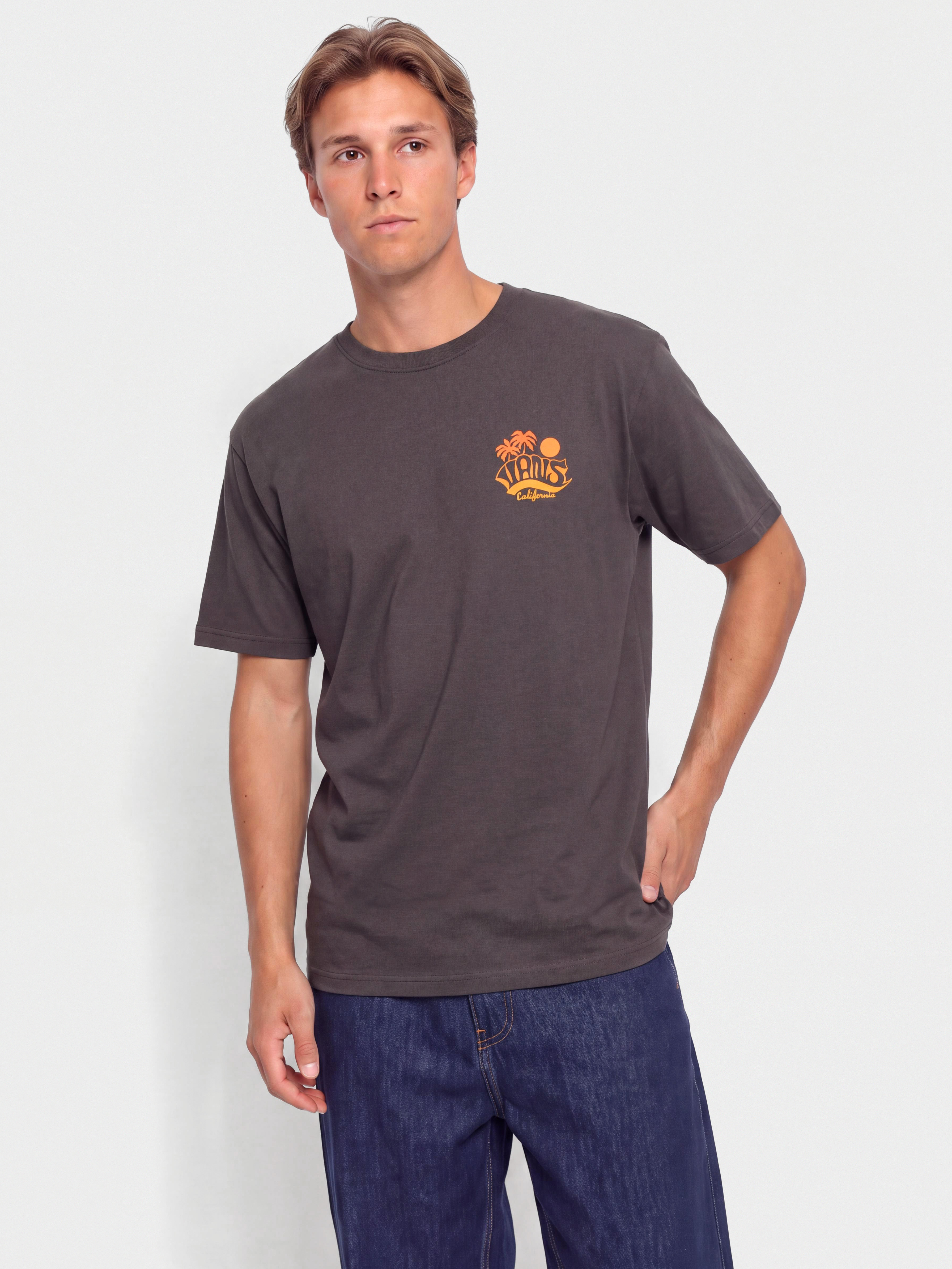 T-shirt Vans Sea Level (charcoal grey)