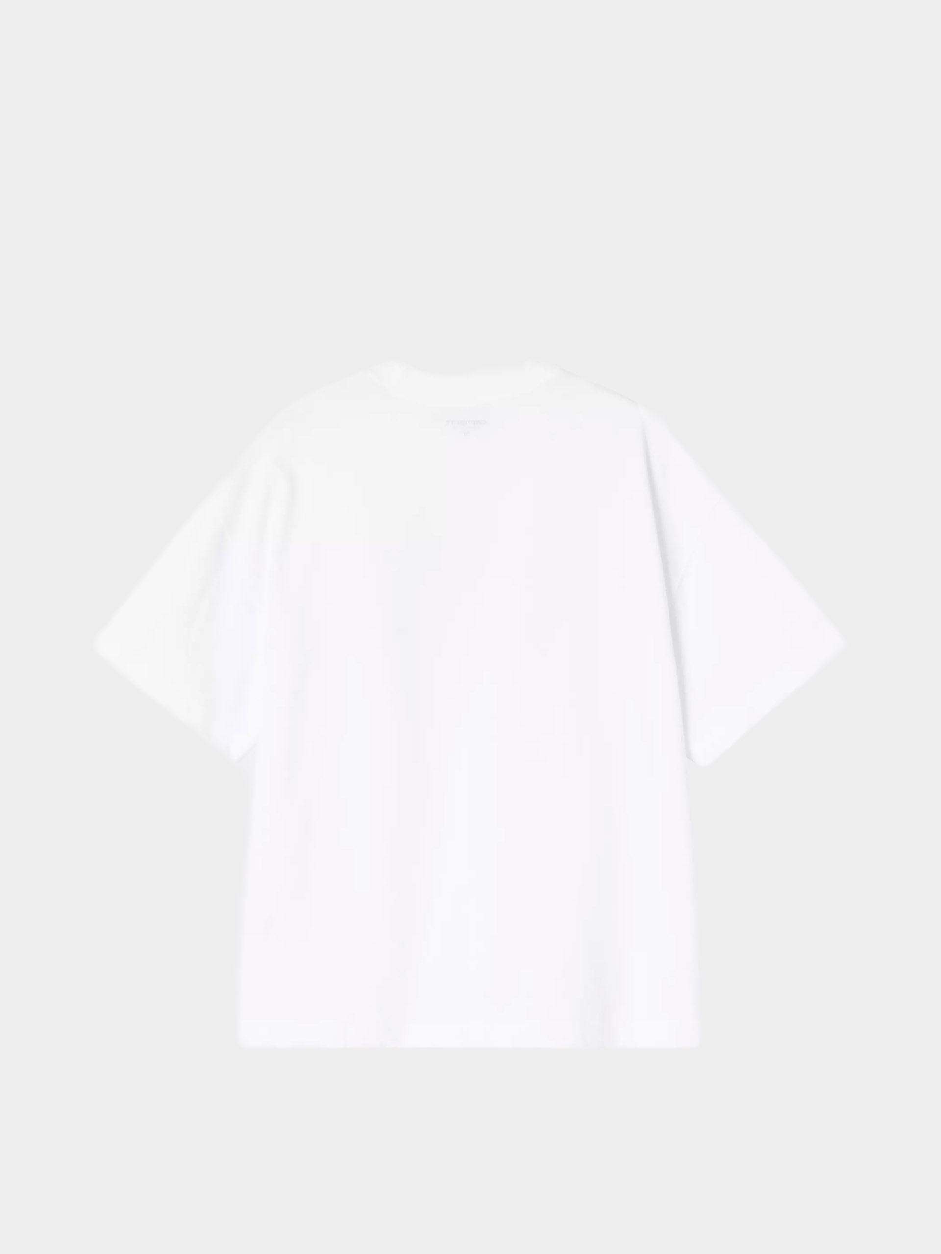 T-shirt Carhartt WIP Pennon (white)