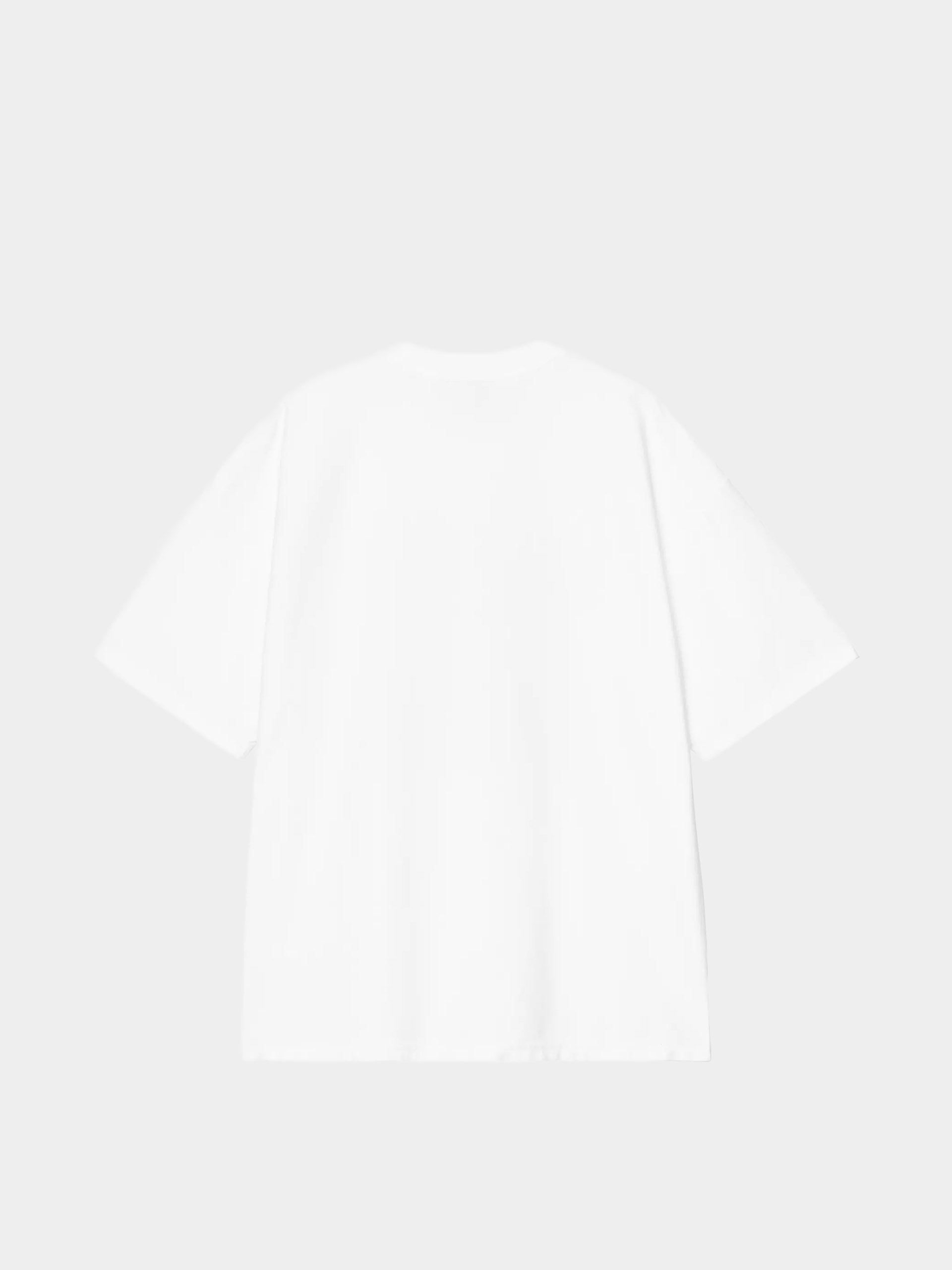 T-shirt Carhartt WIP 1989 Winners (white/heavy stone wash)