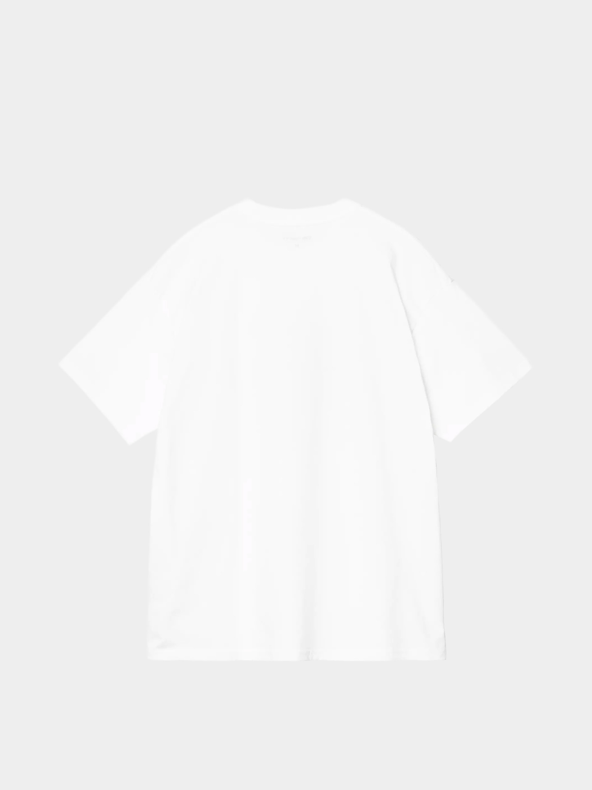 T-shirt Carhartt WIP Entrance (white)