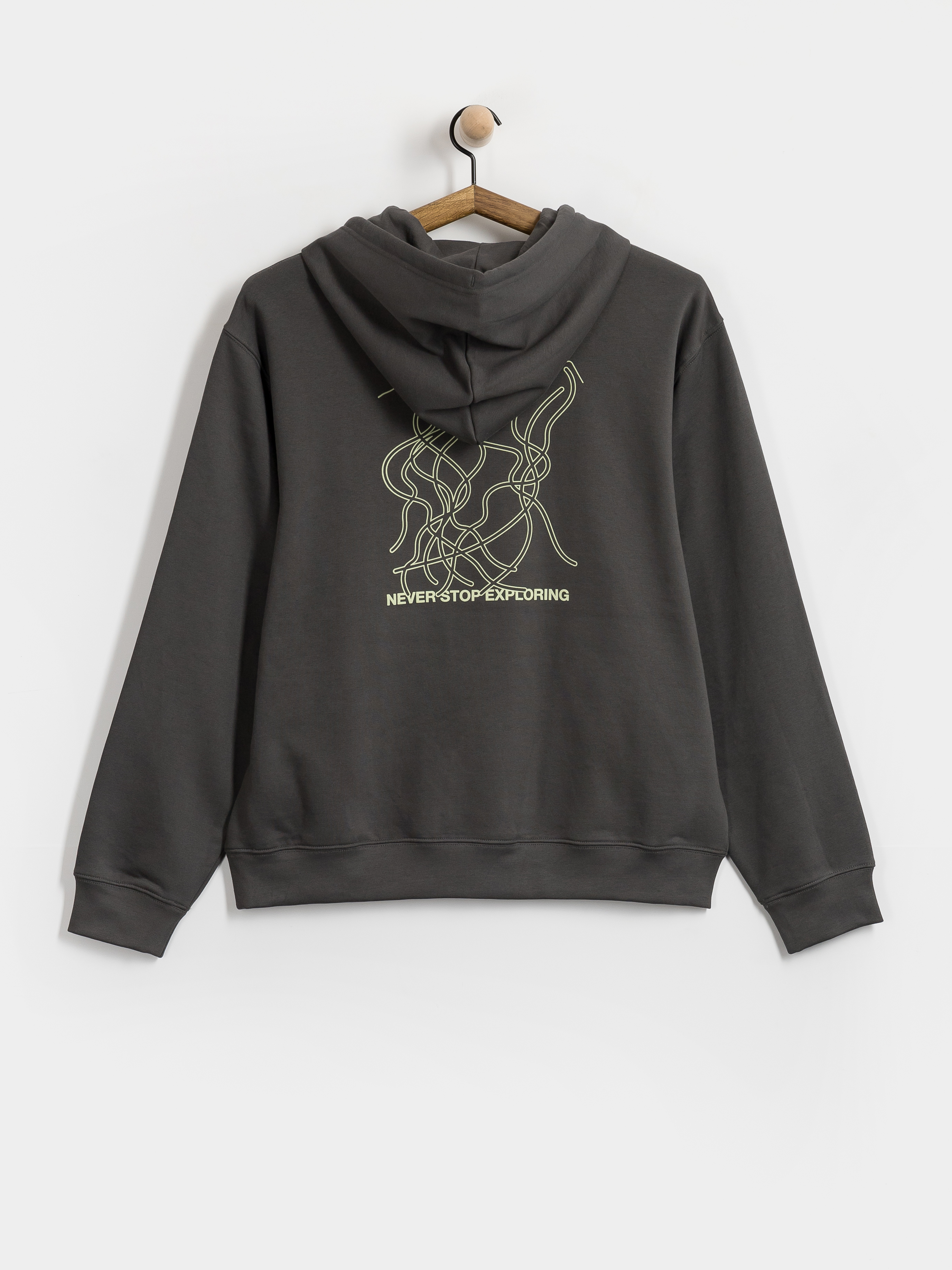 Bluza z kapturem The North Face Nse Slopes Relaxed HD (anthracite grey)