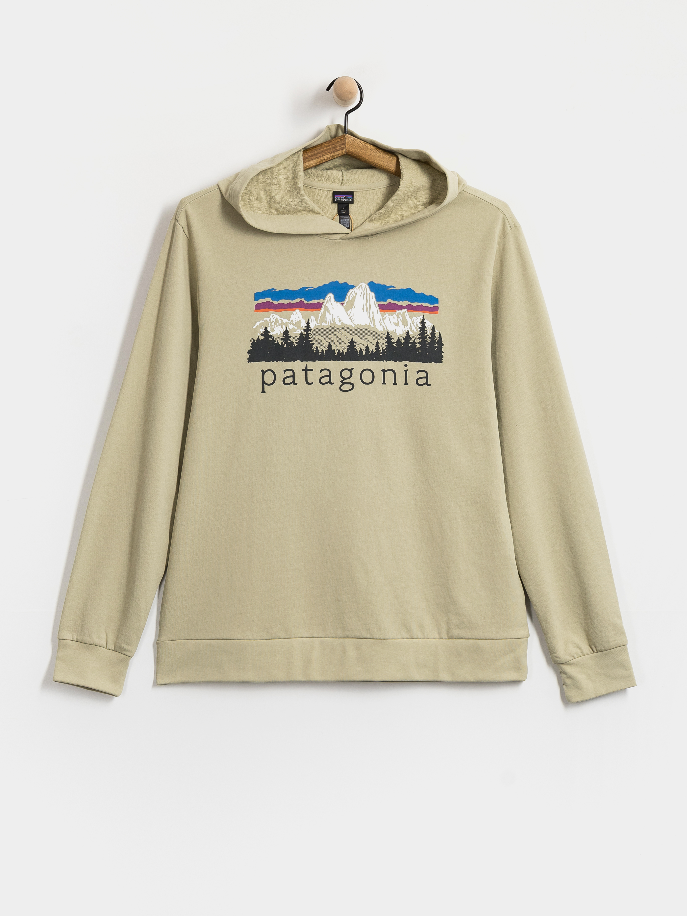 Bluza z kapturem Patagonia Fitz Roy Foothills Daily HD (weathered stone)