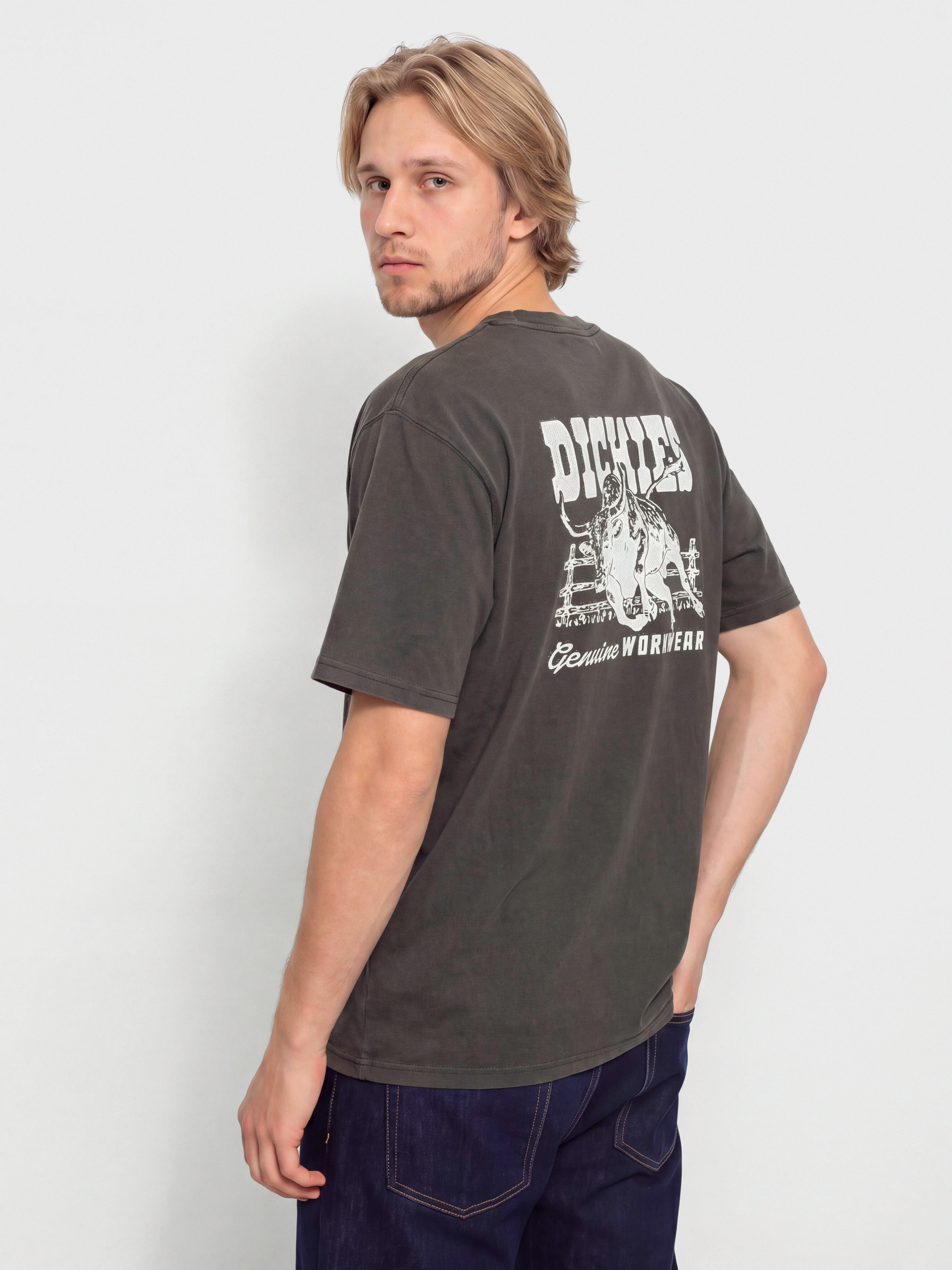 T-shirt Dickies Buchtell (black)