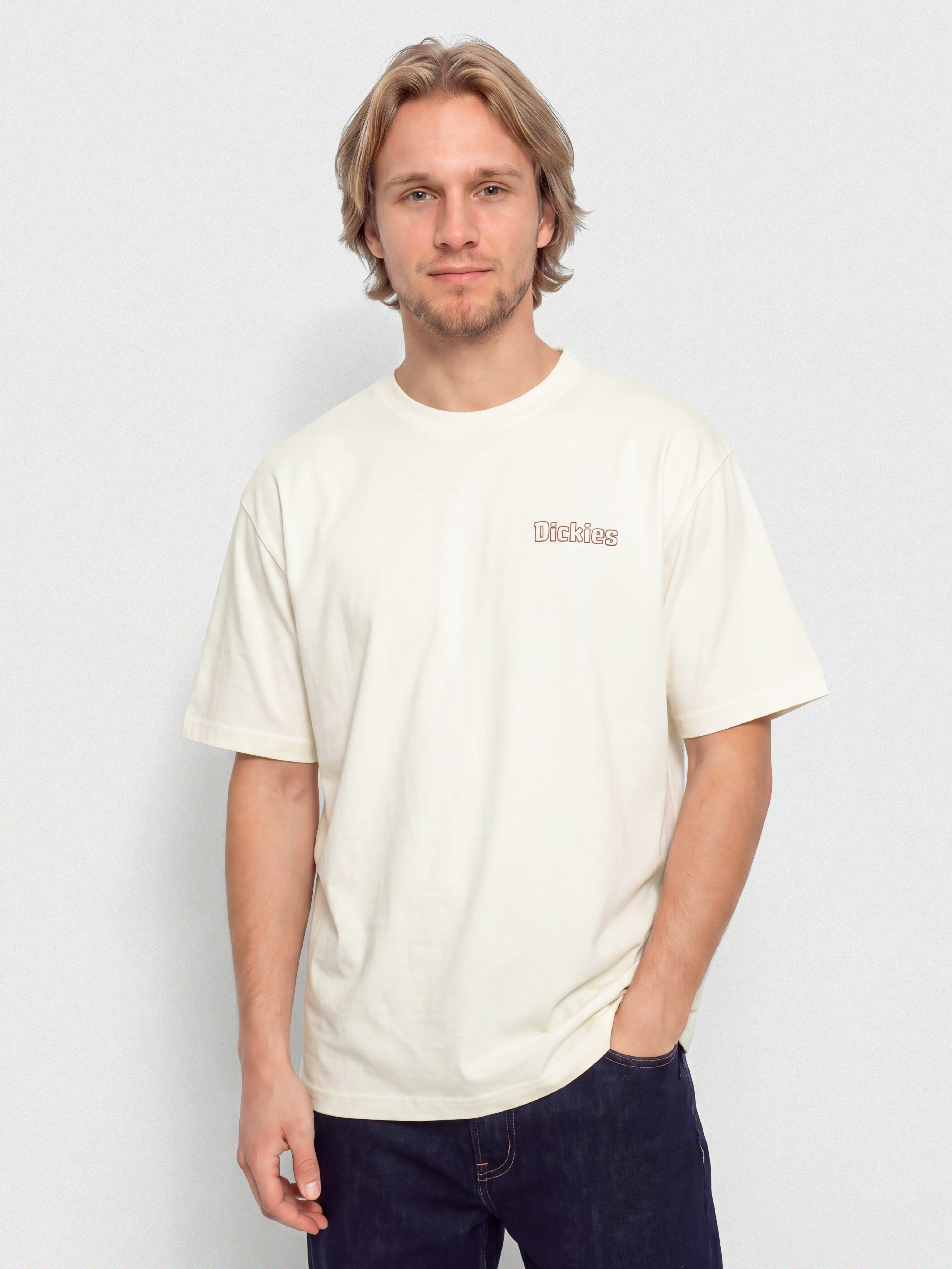 T-shirt Dickies Fairlawn (egret)