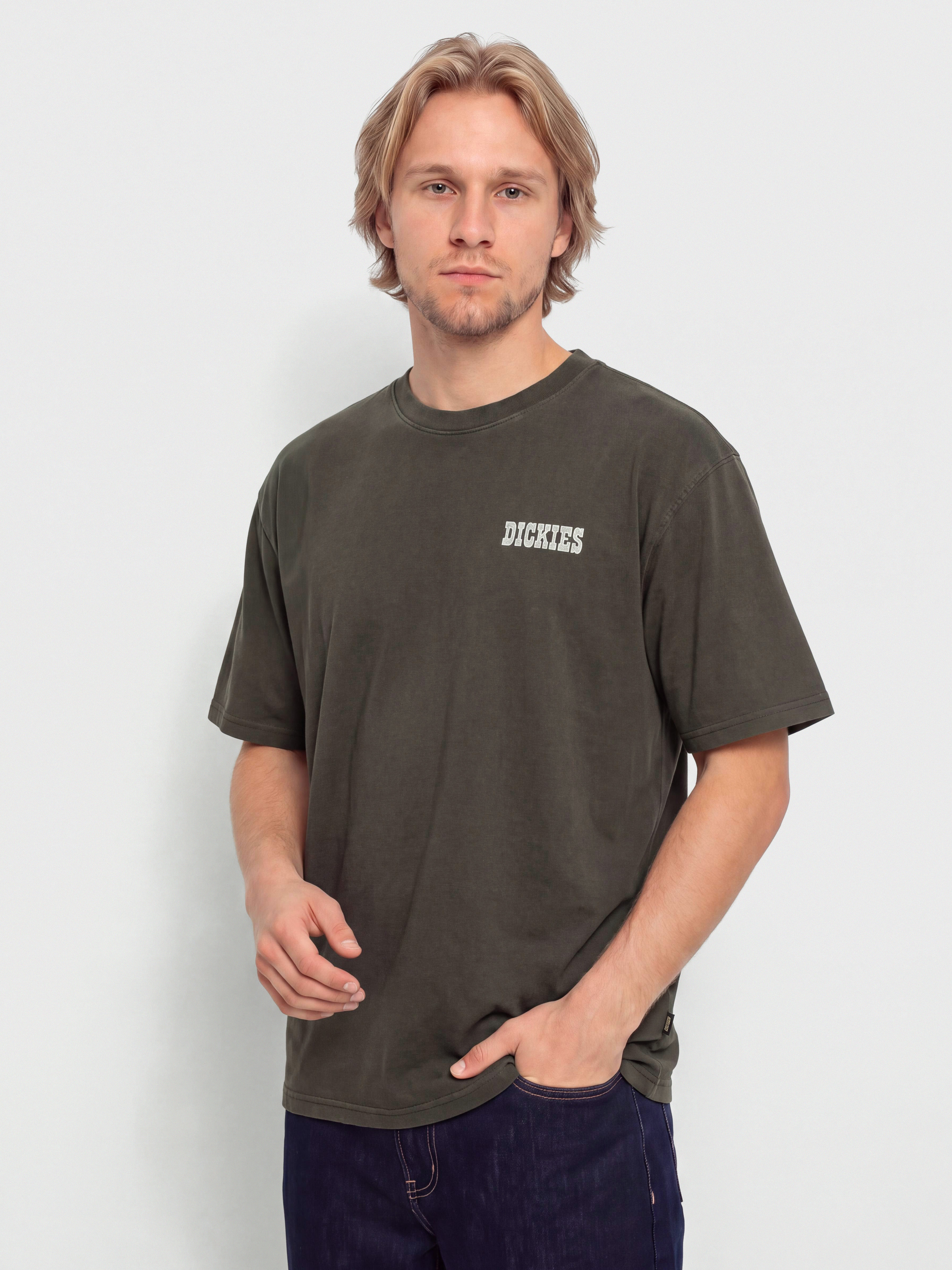 T-shirt Dickies Buchtell (black)
