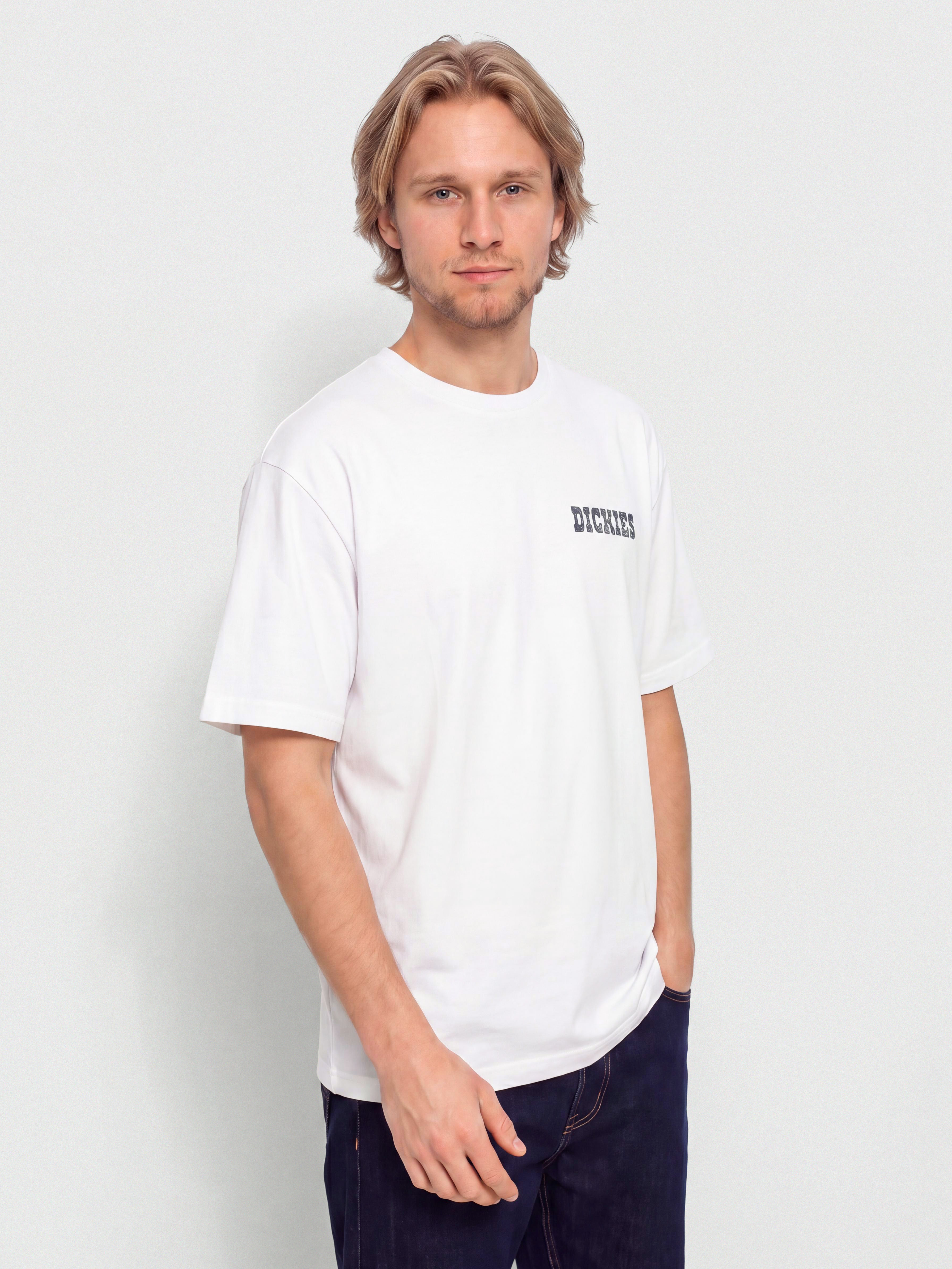 T-shirt Dickies Plain City (white)