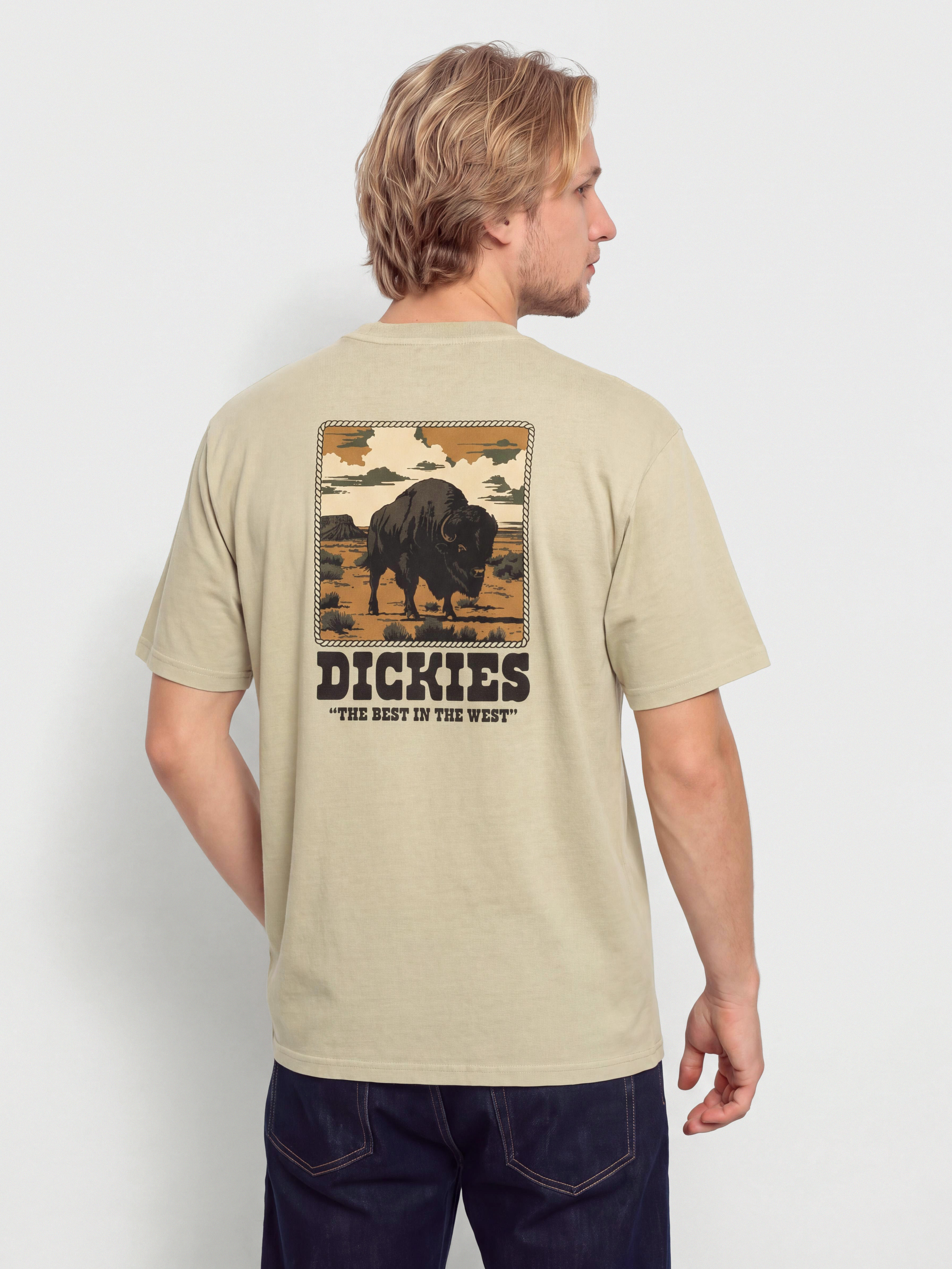 T-shirt Dickies Darrtown (eucalyptus)