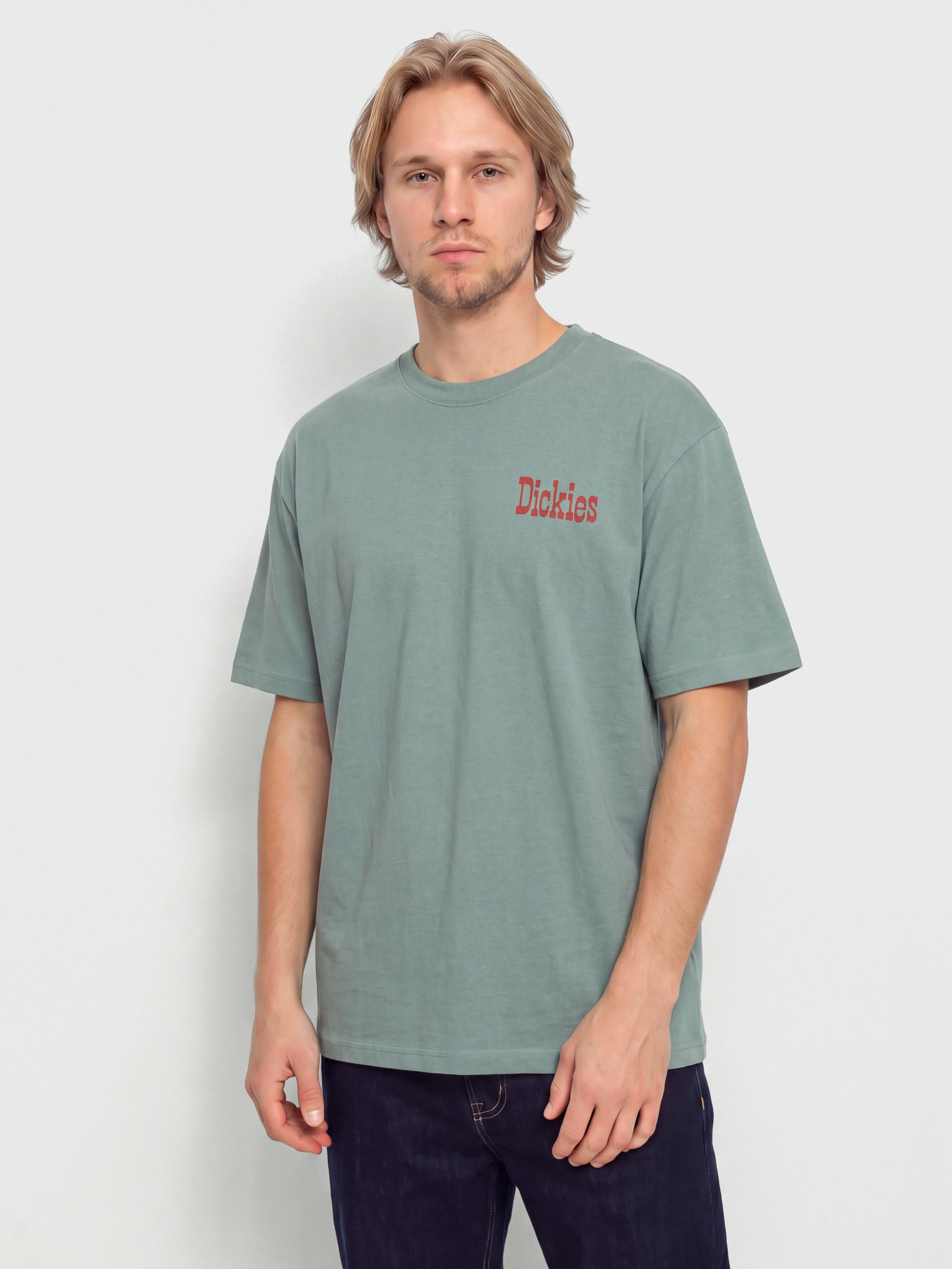 T-shirt Dickies Polk (stormy sea)