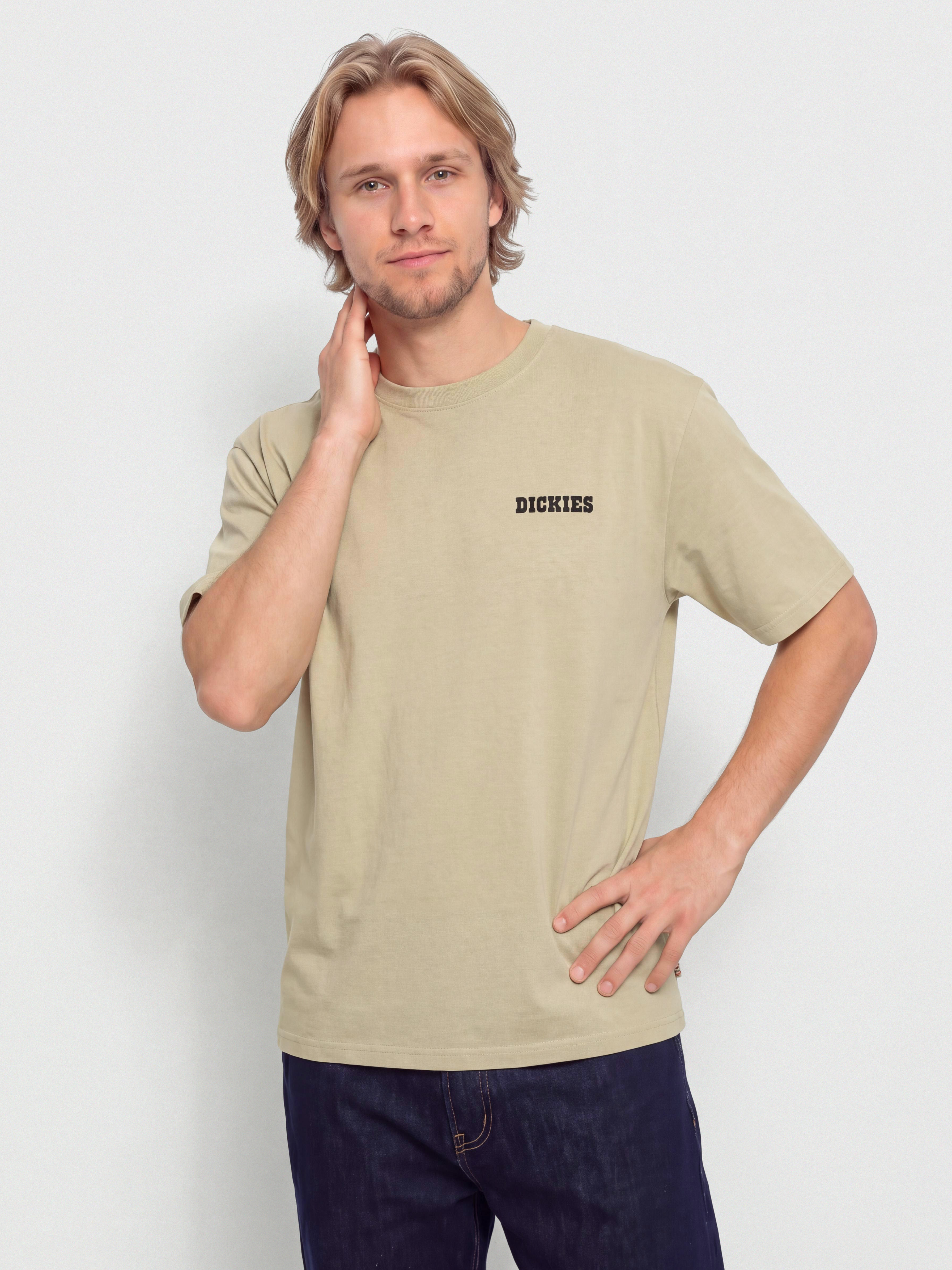 T-shirt Dickies Darrtown (eucalyptus)