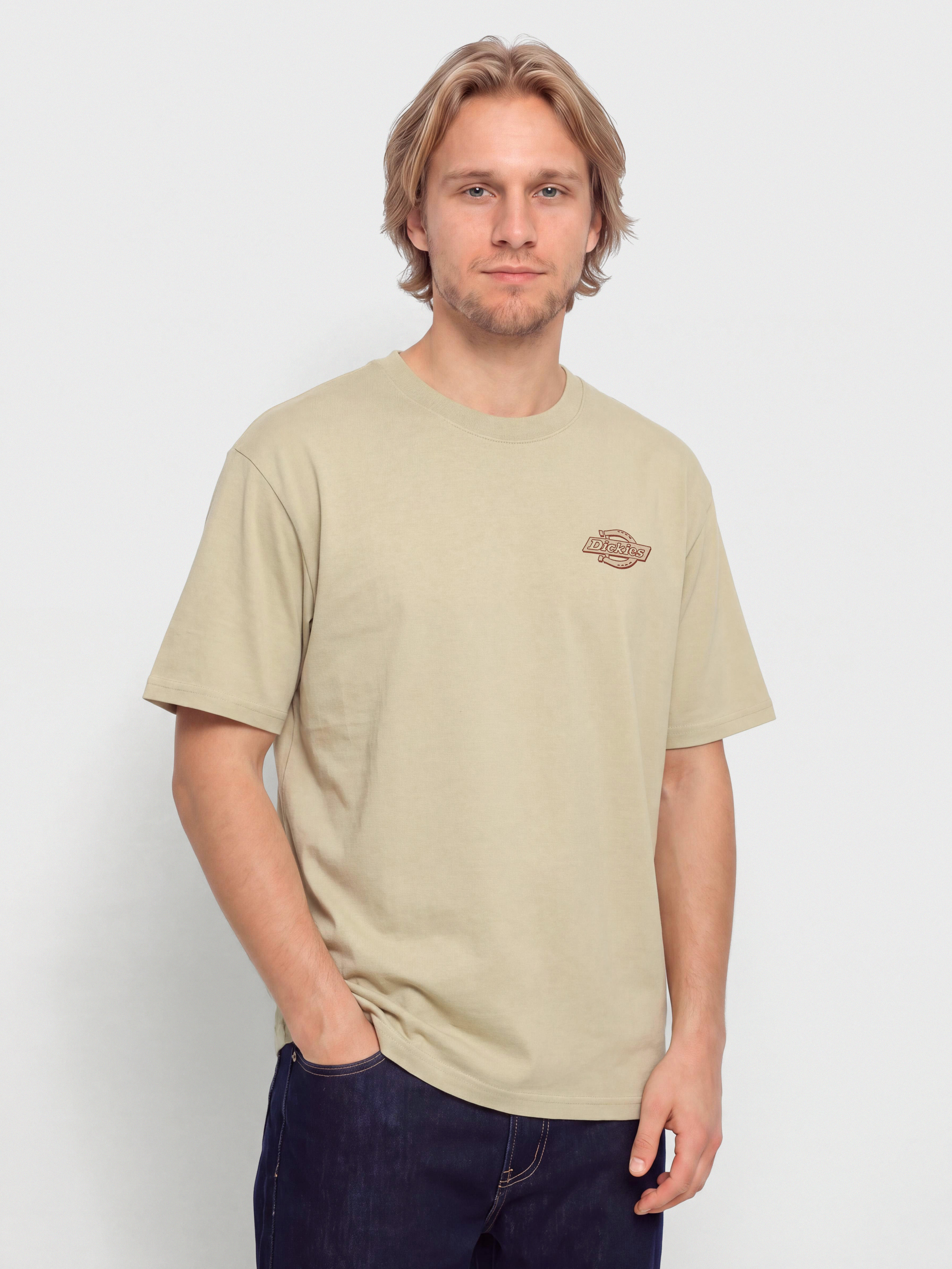T-shirt Dickies Millville (eucalyptus)