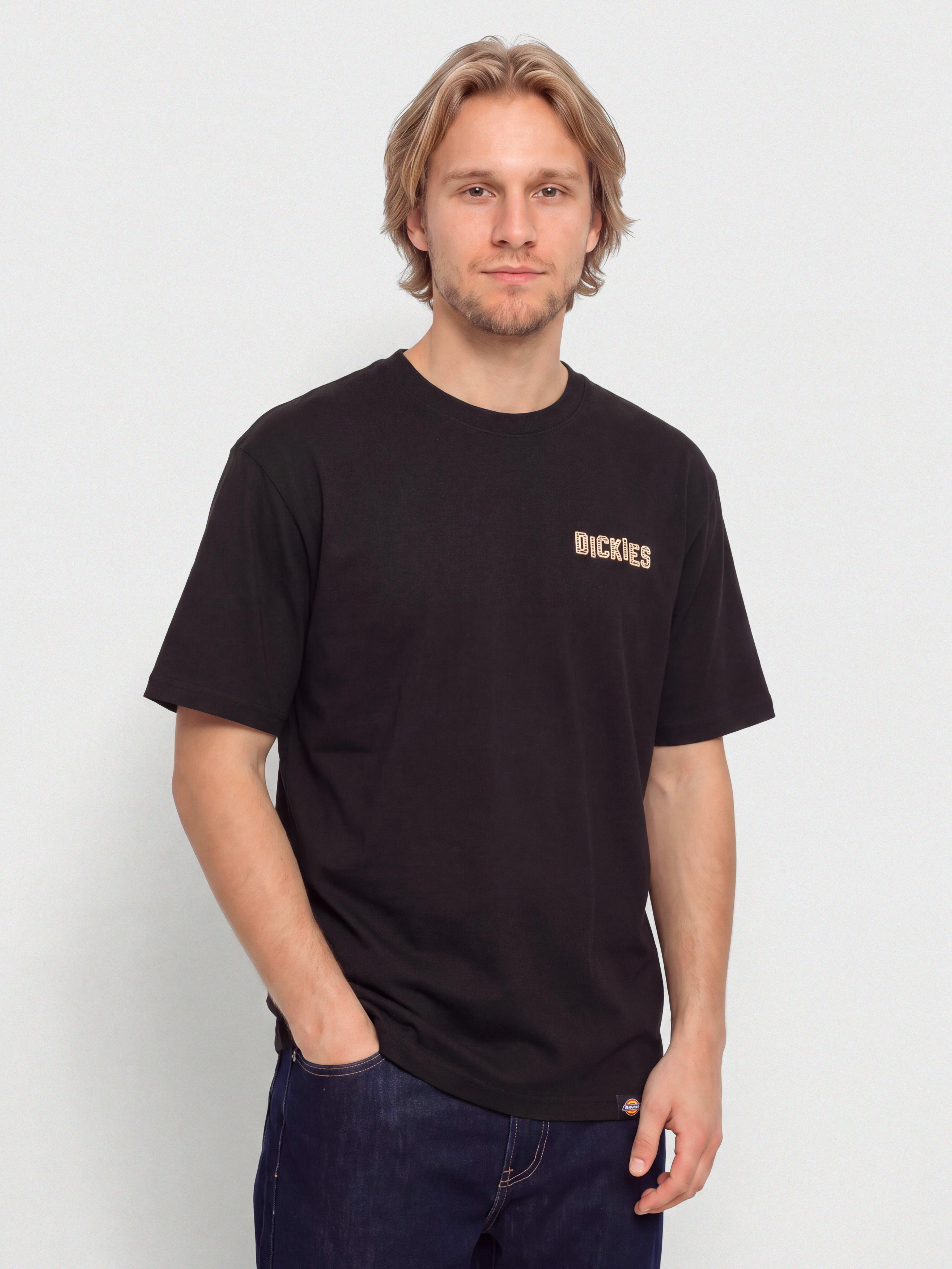 T-shirt Dickies Bricklane (black)