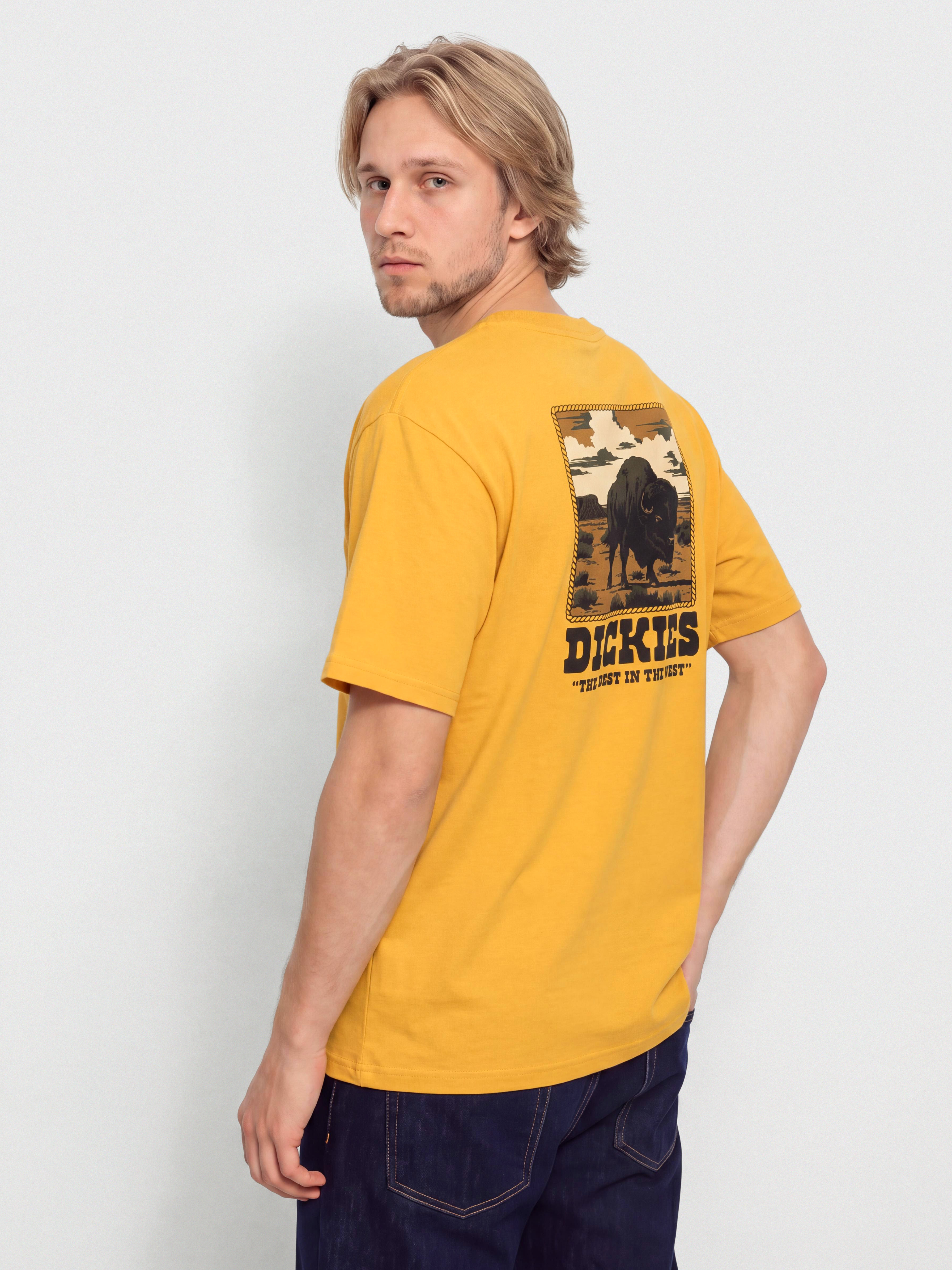 T-shirt Dickies Darrtown (sunflower)