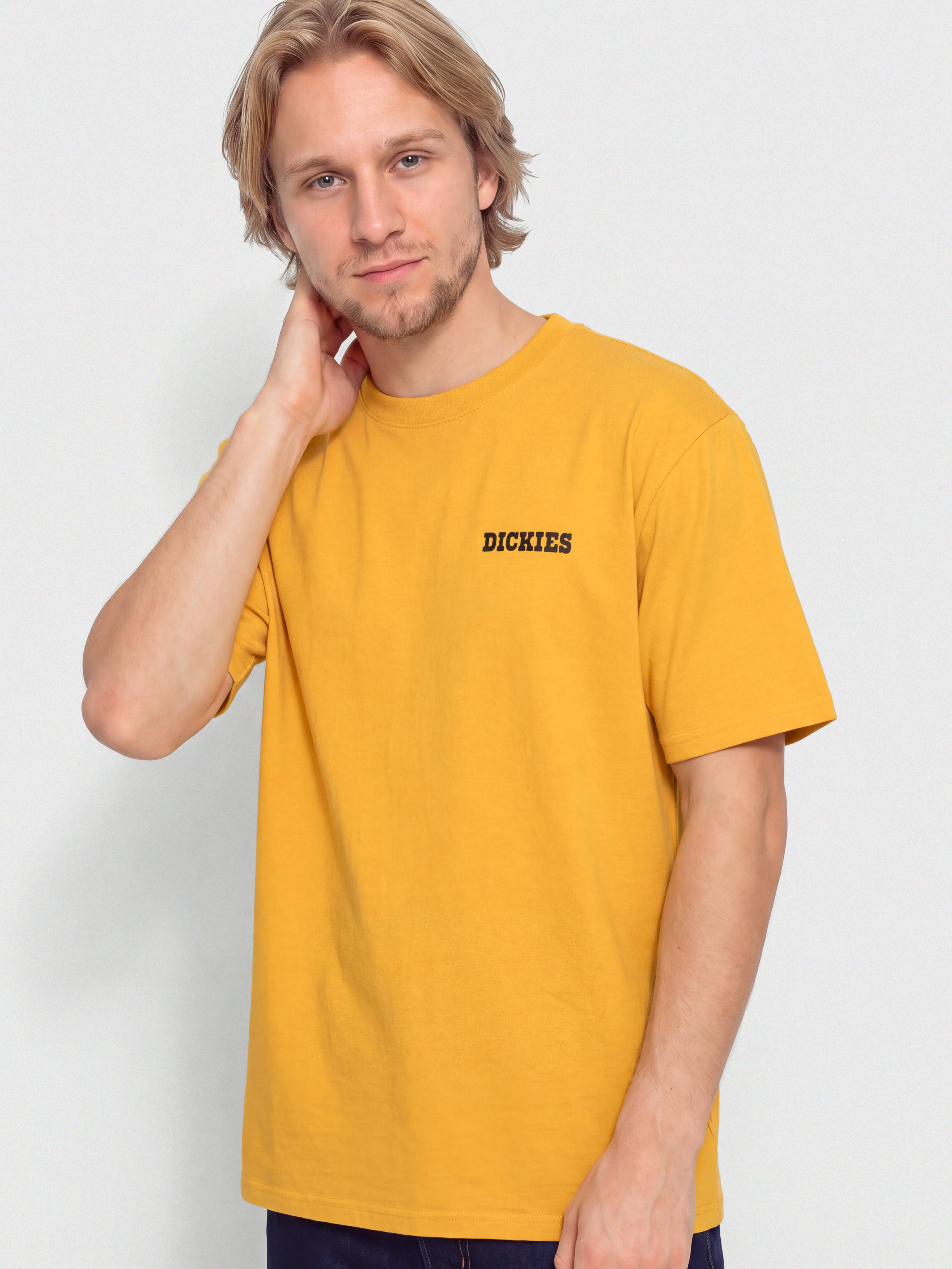 T-shirt Dickies Darrtown (sunflower)