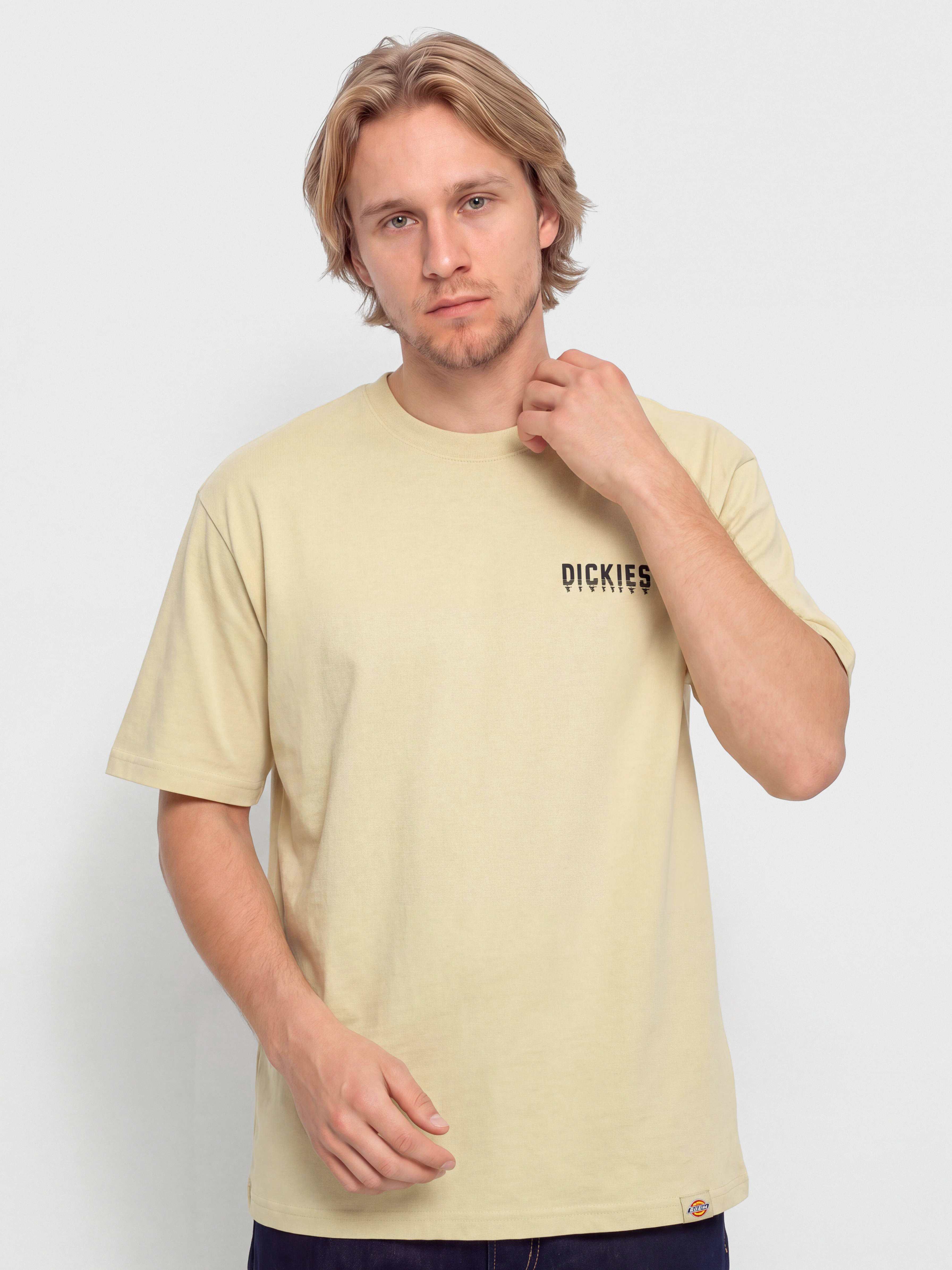 T-shirt Dickies Pelham (wood ash)
