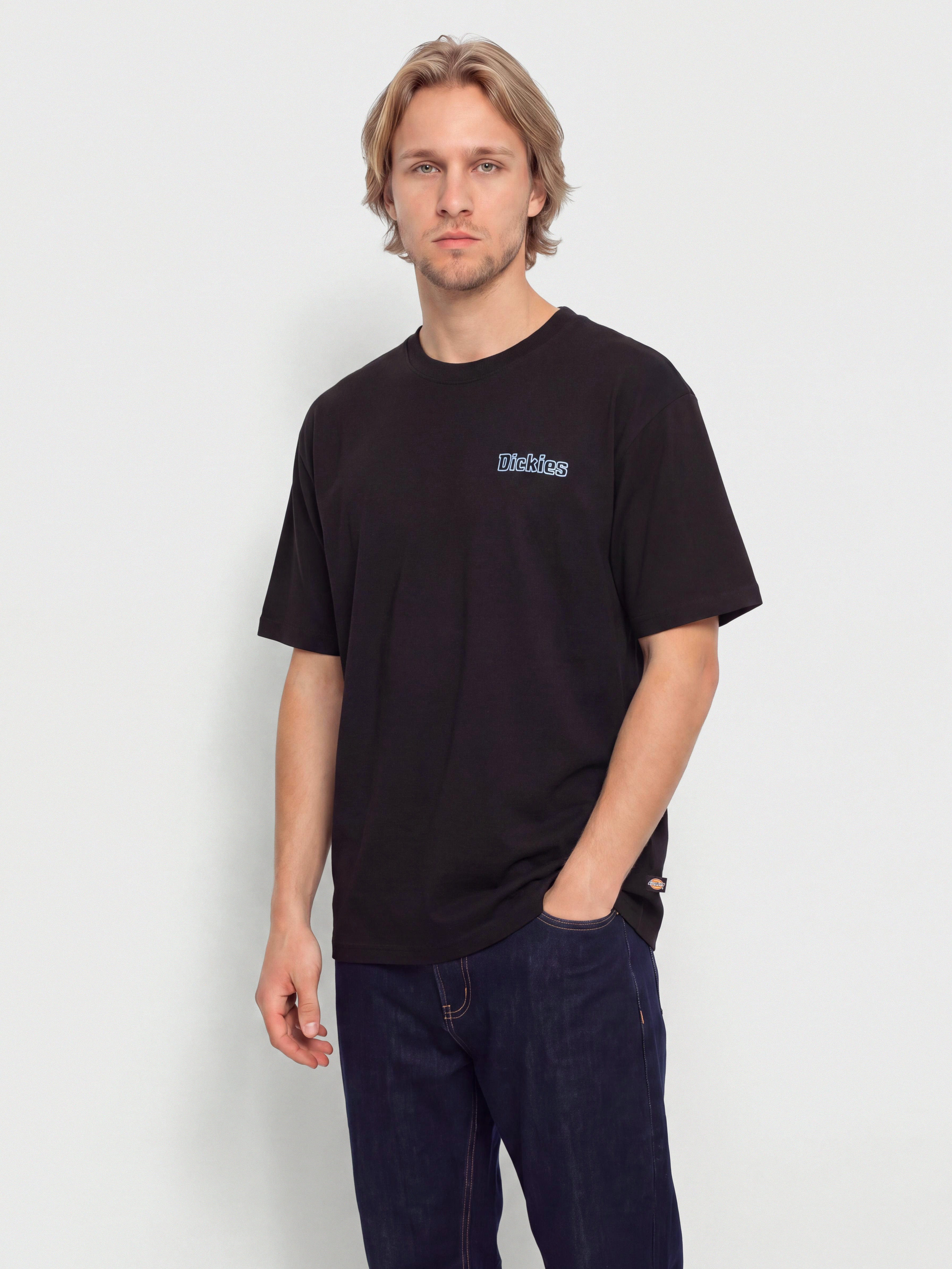 T-shirt Dickies Fairlawn (black)