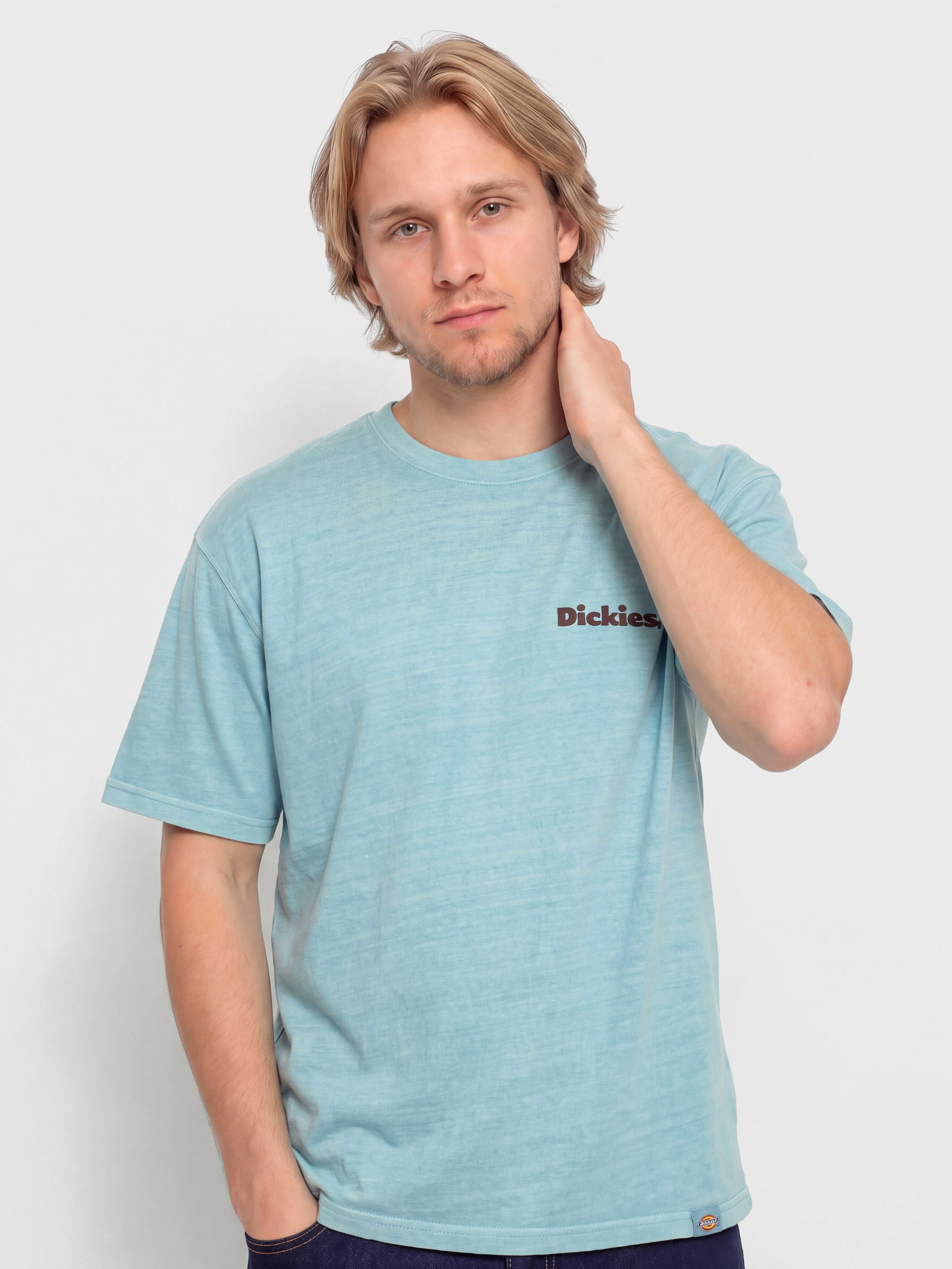 T-shirt Dickies Slayden (glacier lake)