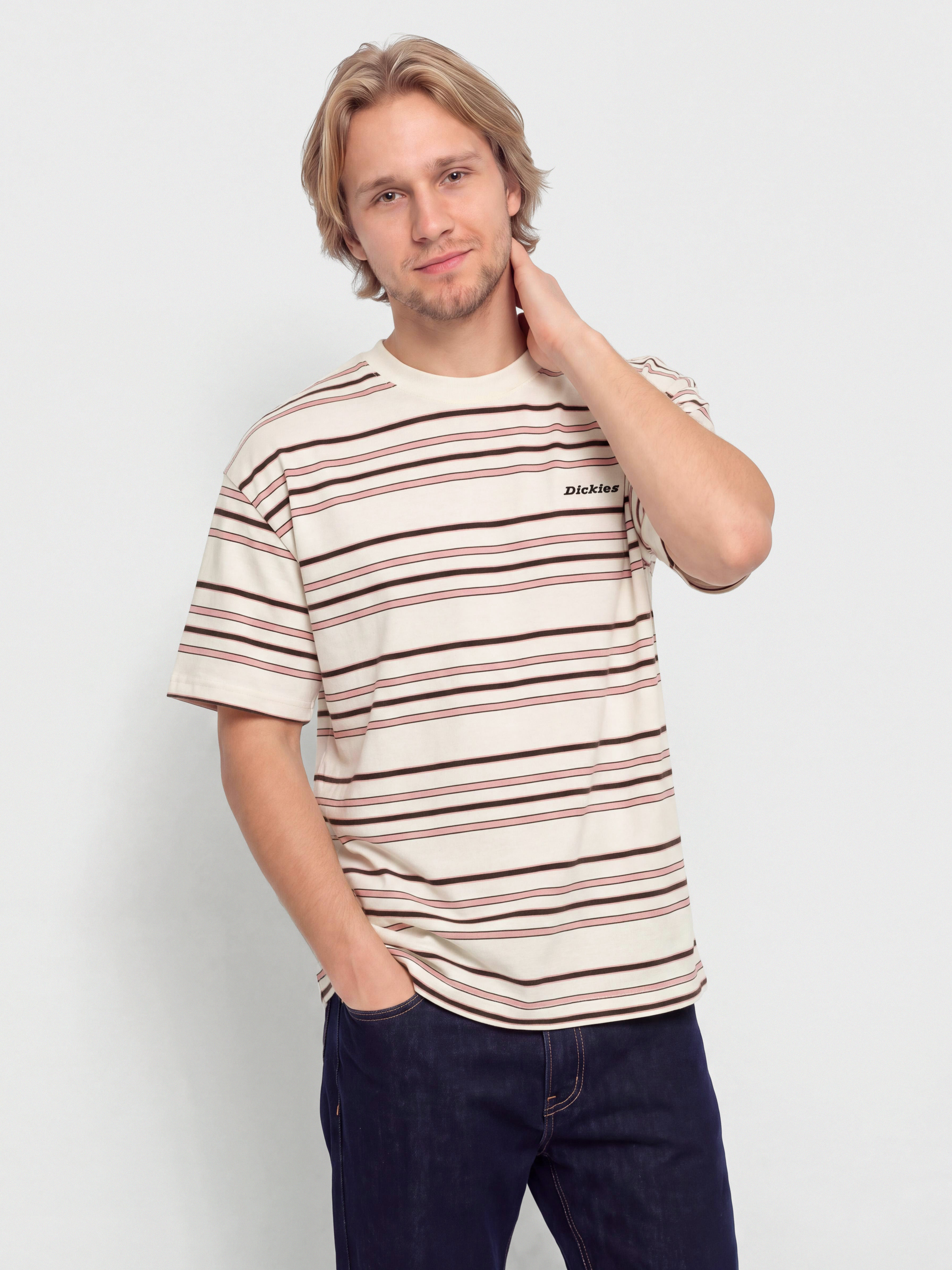 T-shirt Dickies East Liberty Stripe (egret)