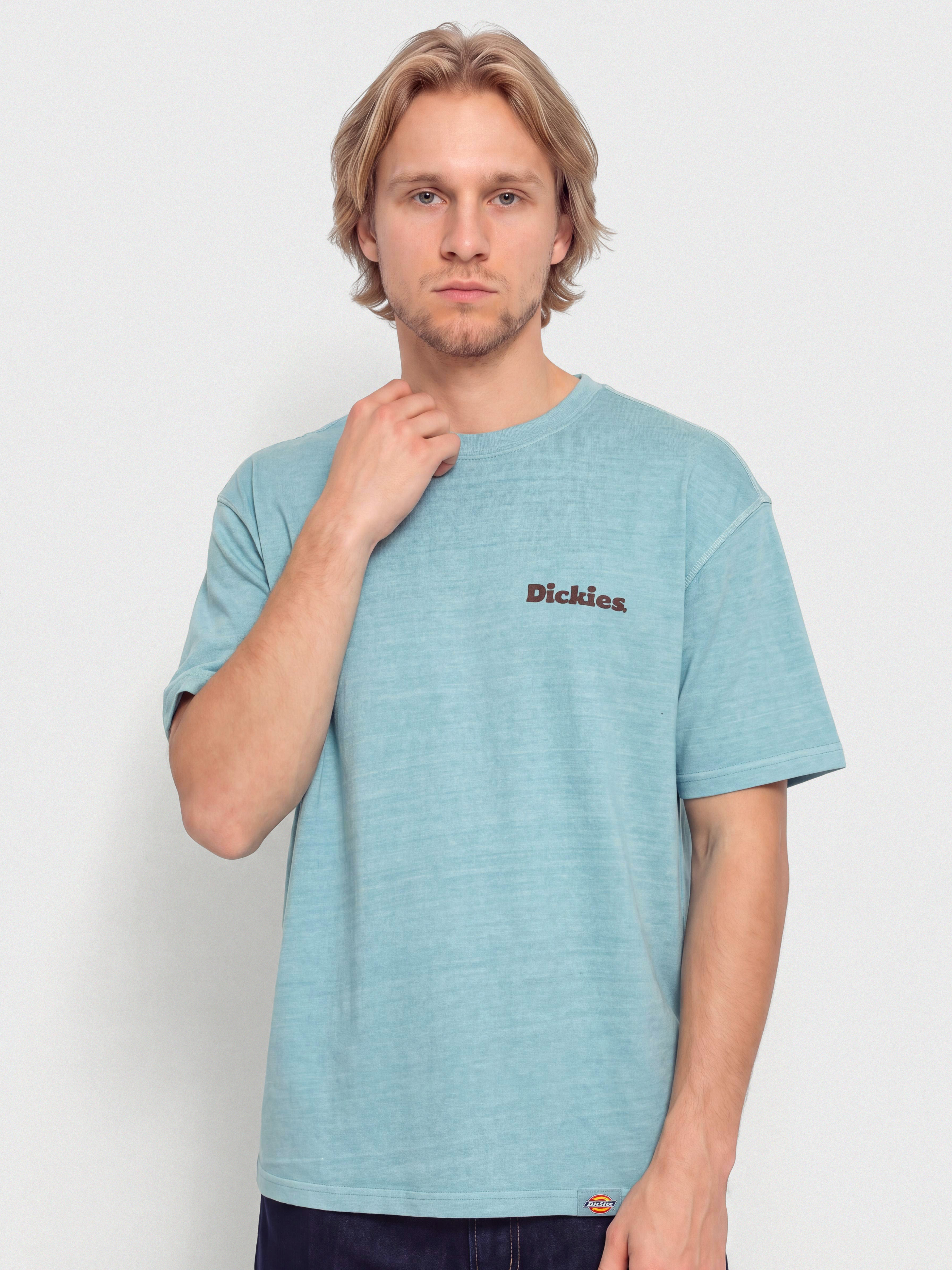 T-shirt Dickies Slayden (glacier lake)