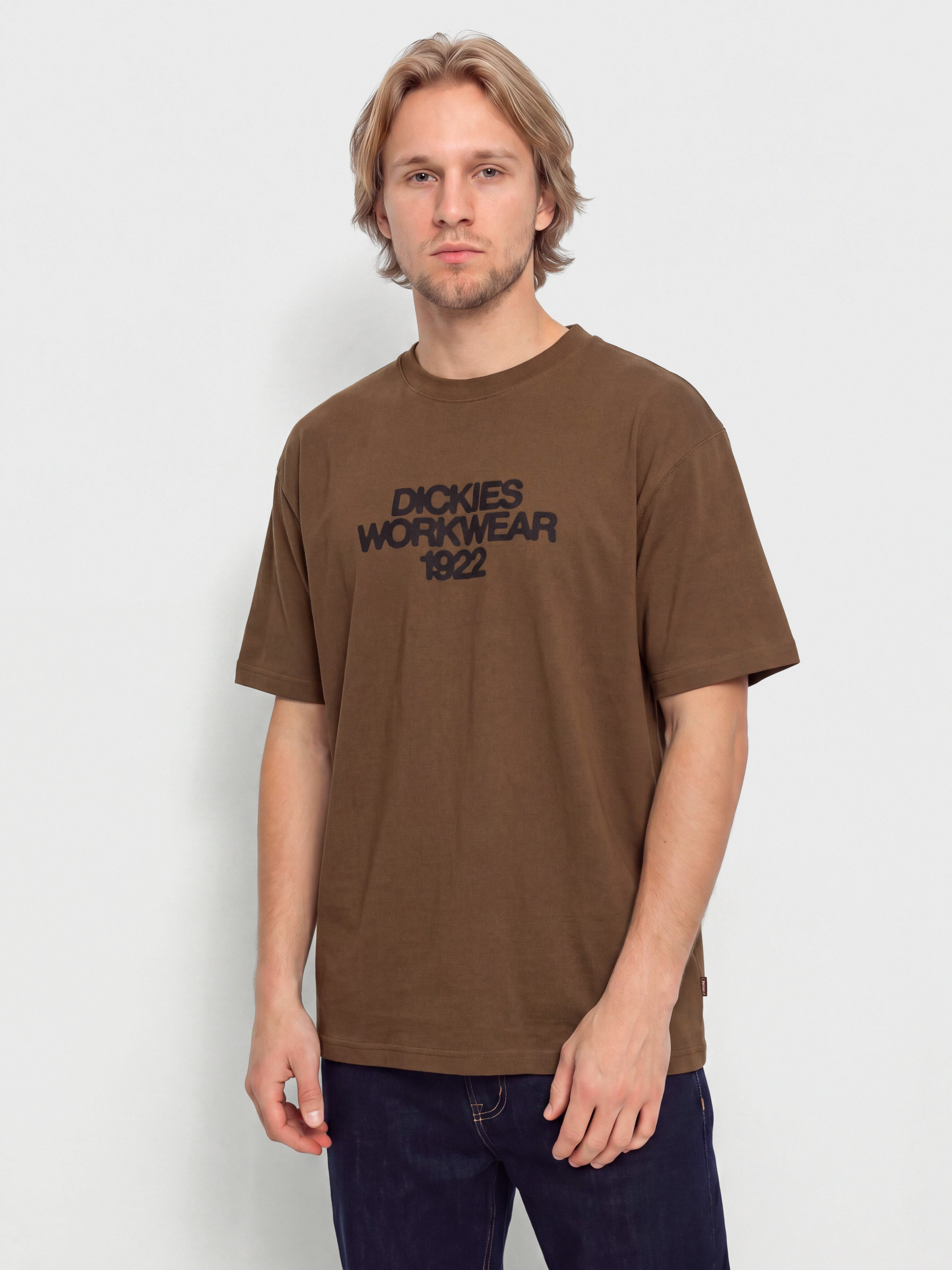 T-shirt Dickies Torrey (timber brown)
