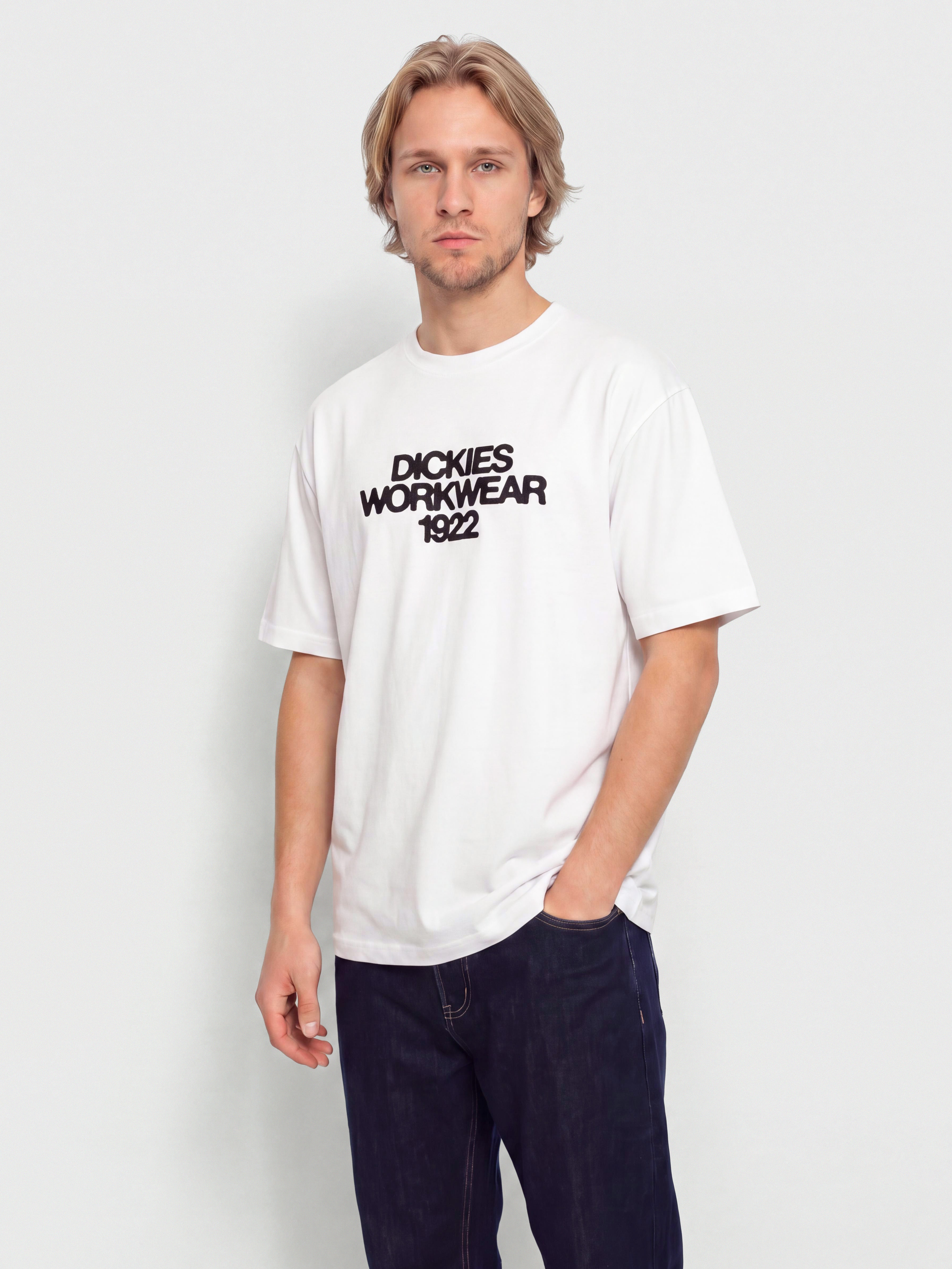 T-shirt Dickies Torrey (white)