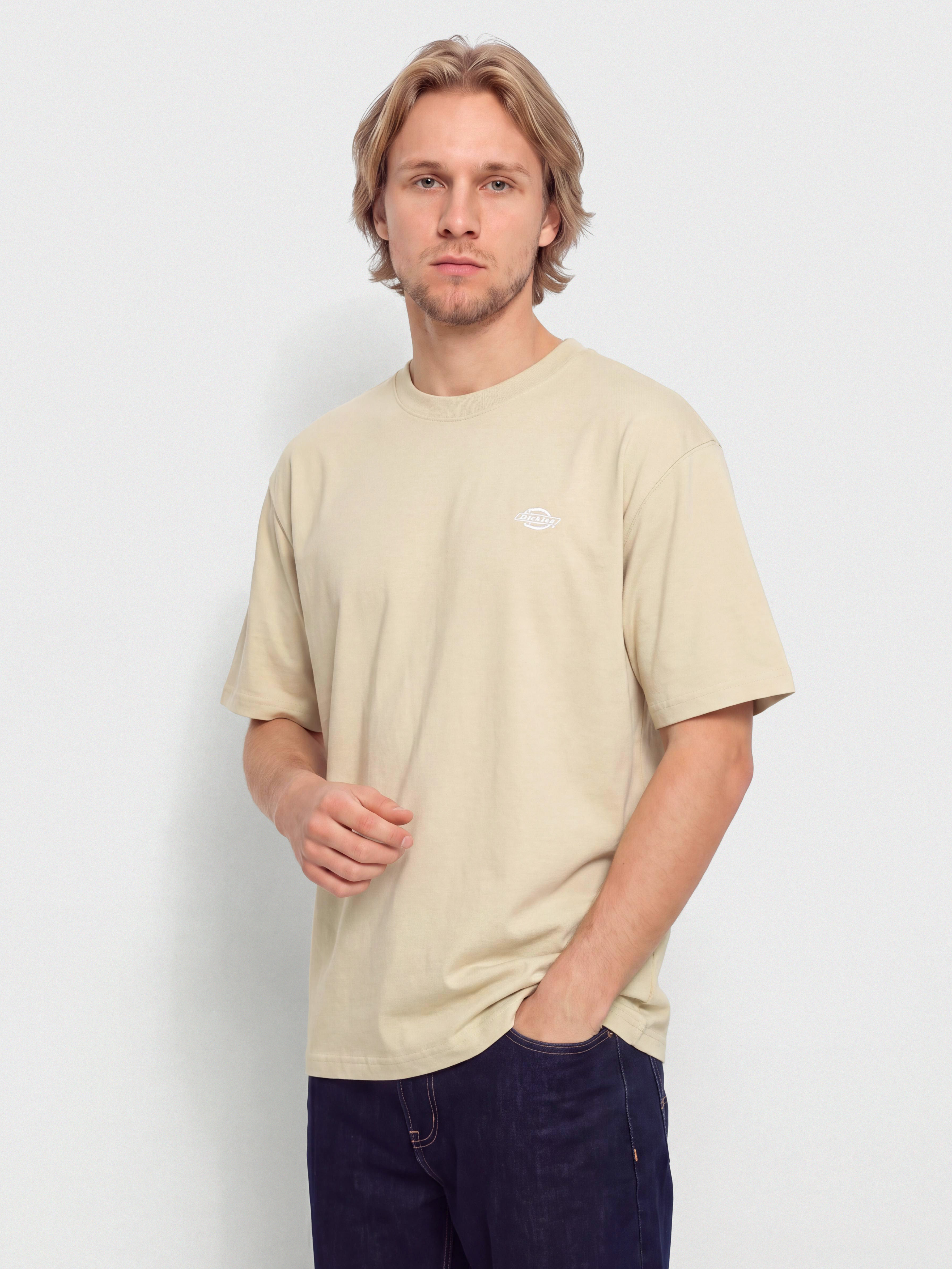 T-shirt Dickies Summerdale (eucalyptus)