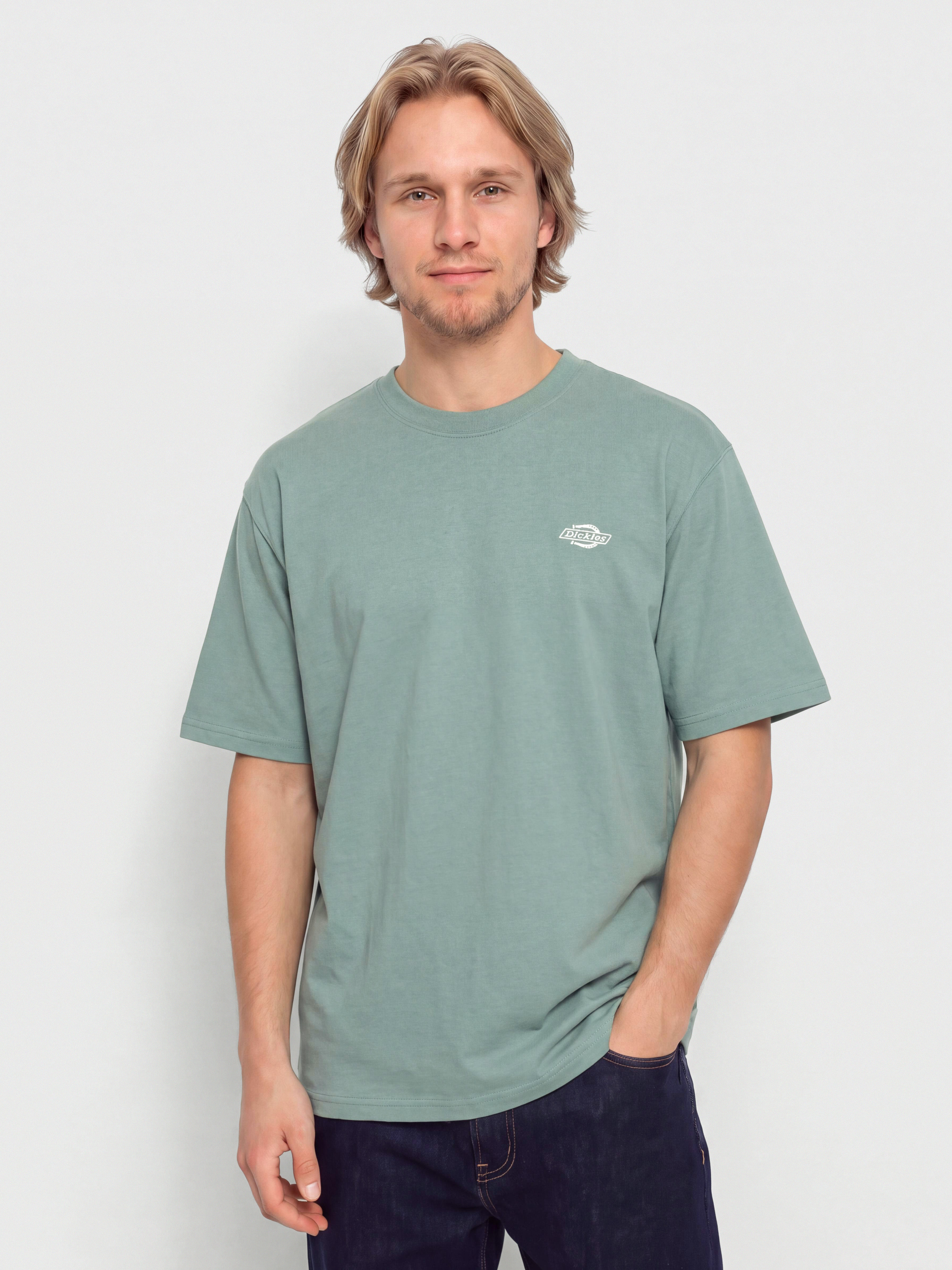 T-shirt Dickies Summerdale (stormy sea)