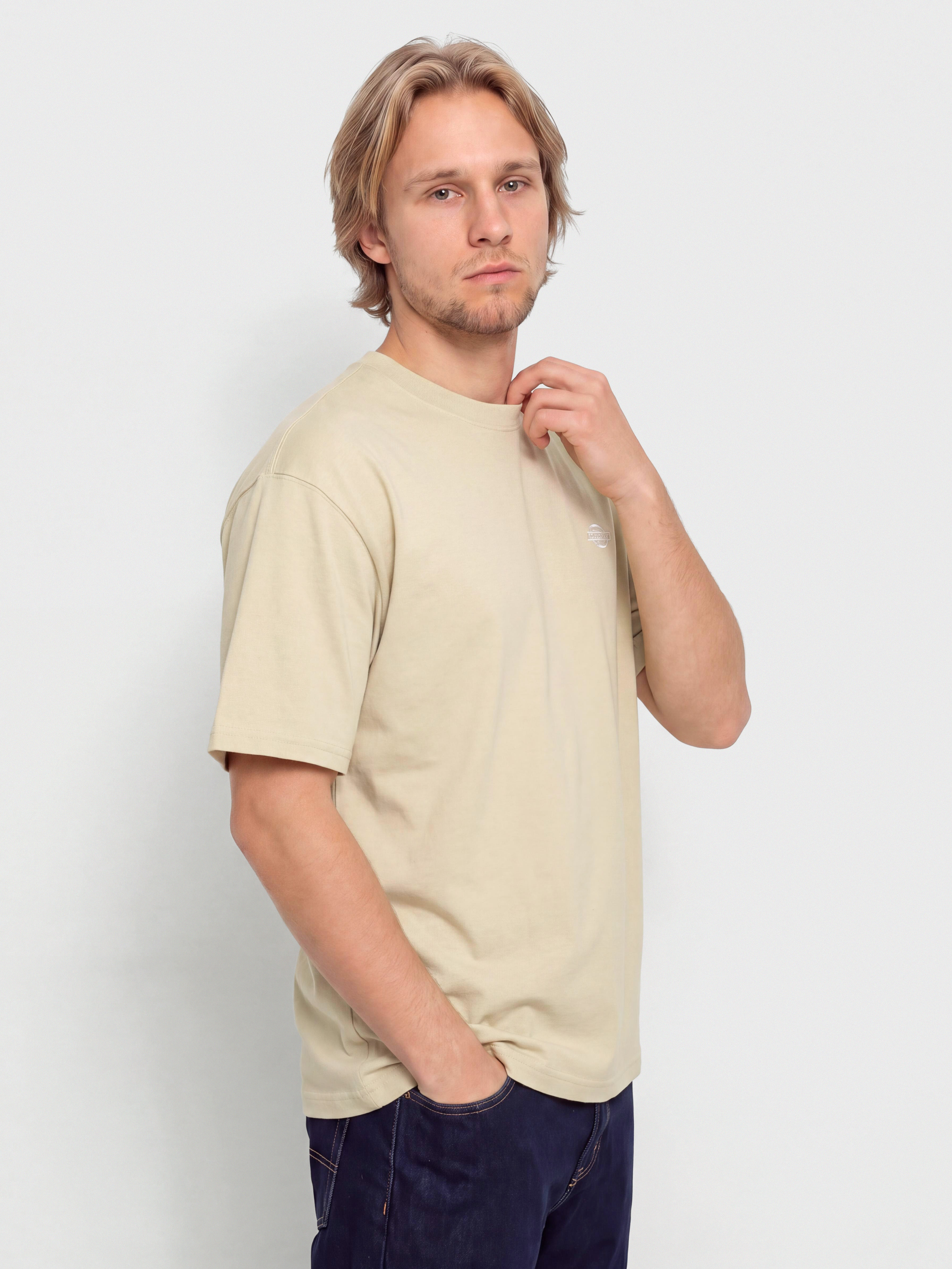 T-shirt Dickies Summerdale (eucalyptus)
