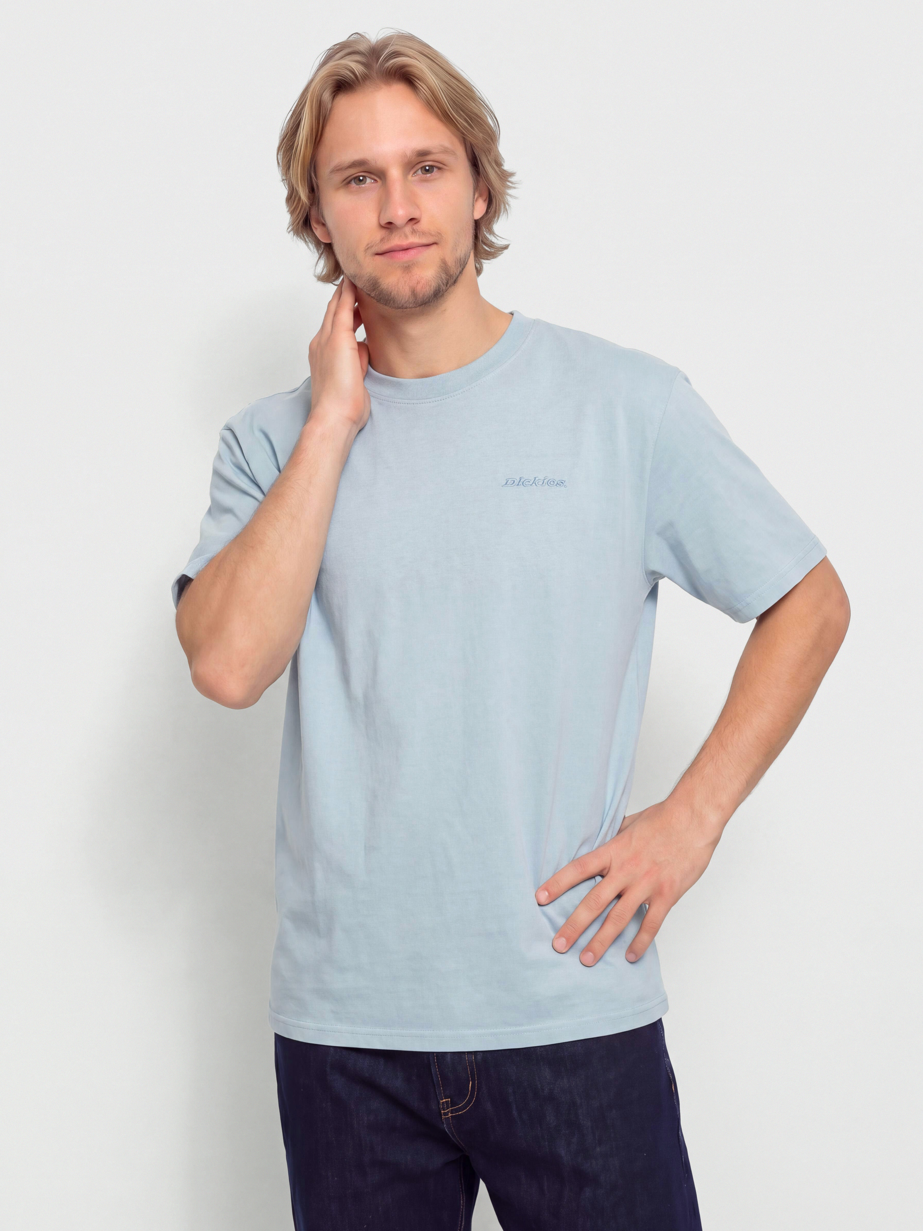 T-shirt Dickies Plentywood (endless sky)