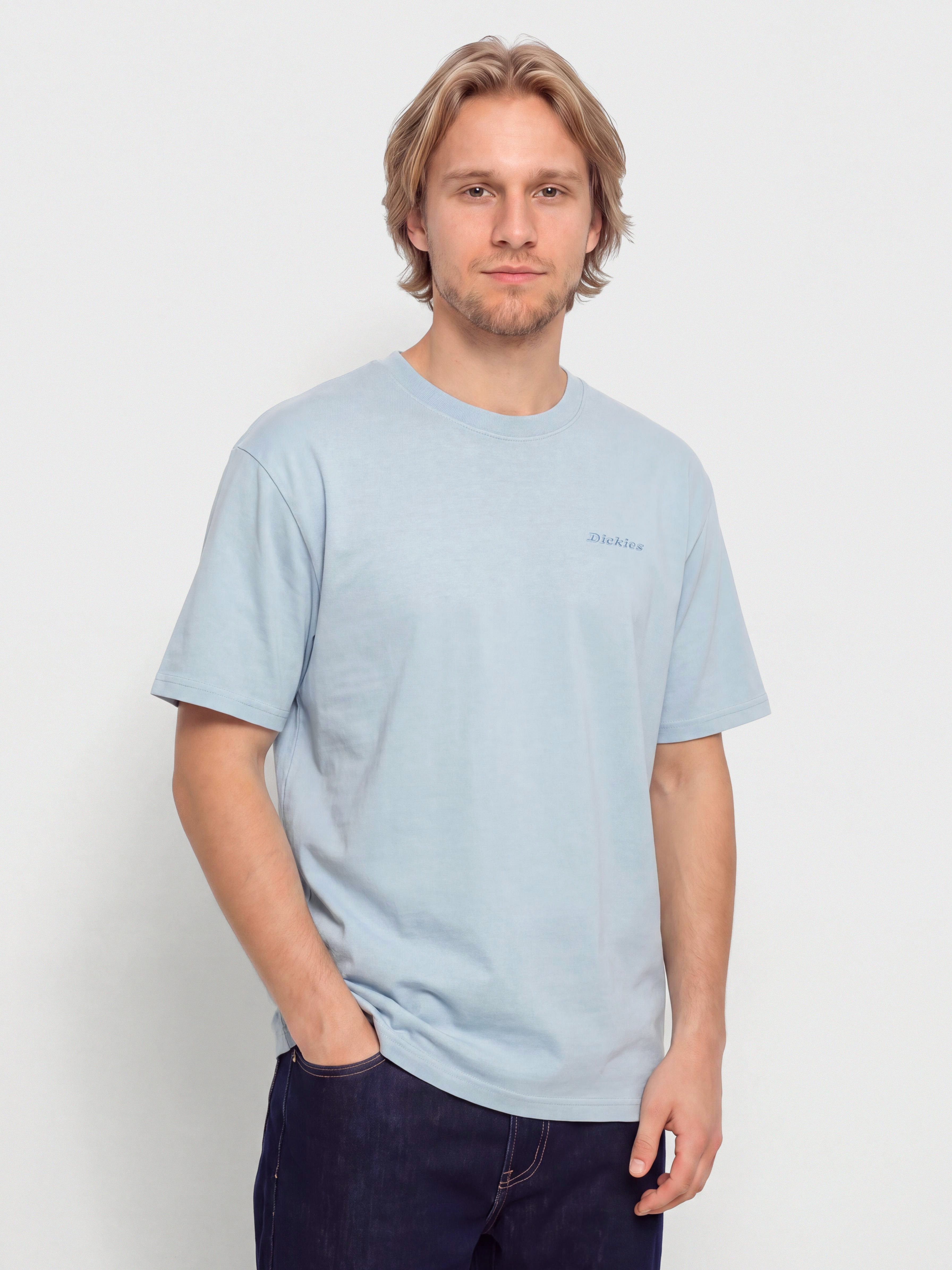 T-shirt Dickies Plentywood (endless sky)