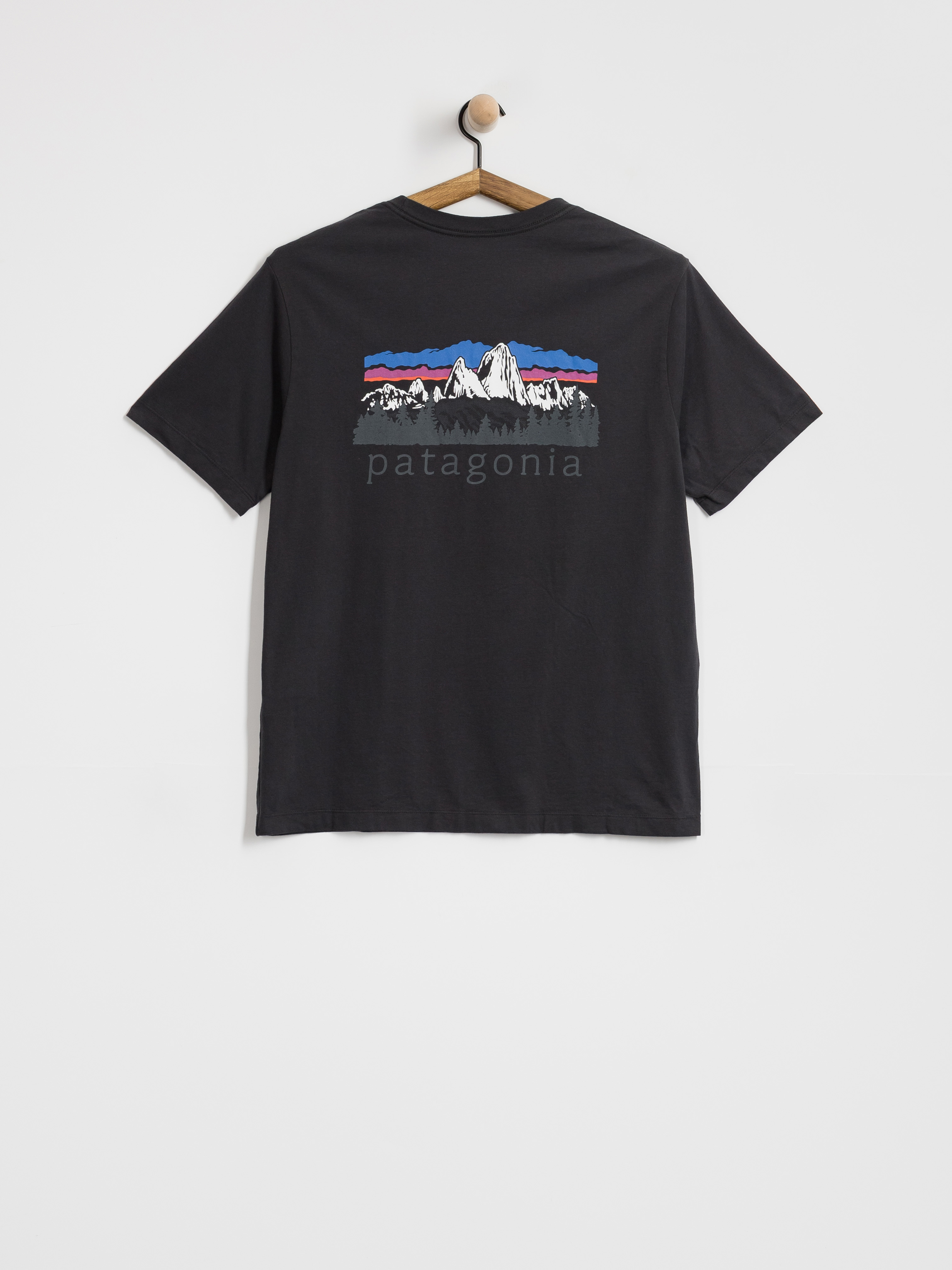 T-shirt Patagonia Fitz Roy Foothills (ink black)