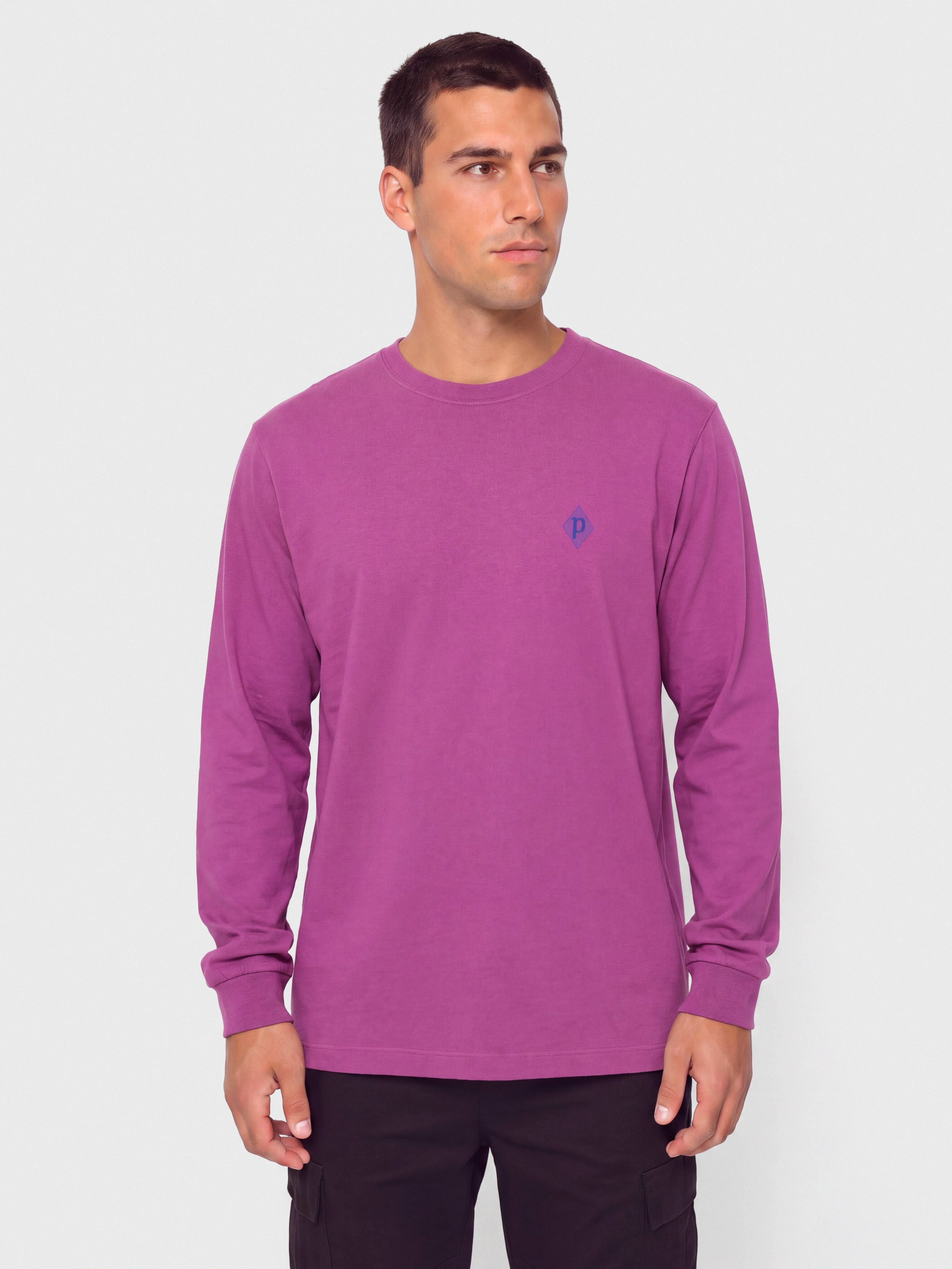 Longsleeve Patagonia MW Hut Tripper Skyline (amaranth pink)