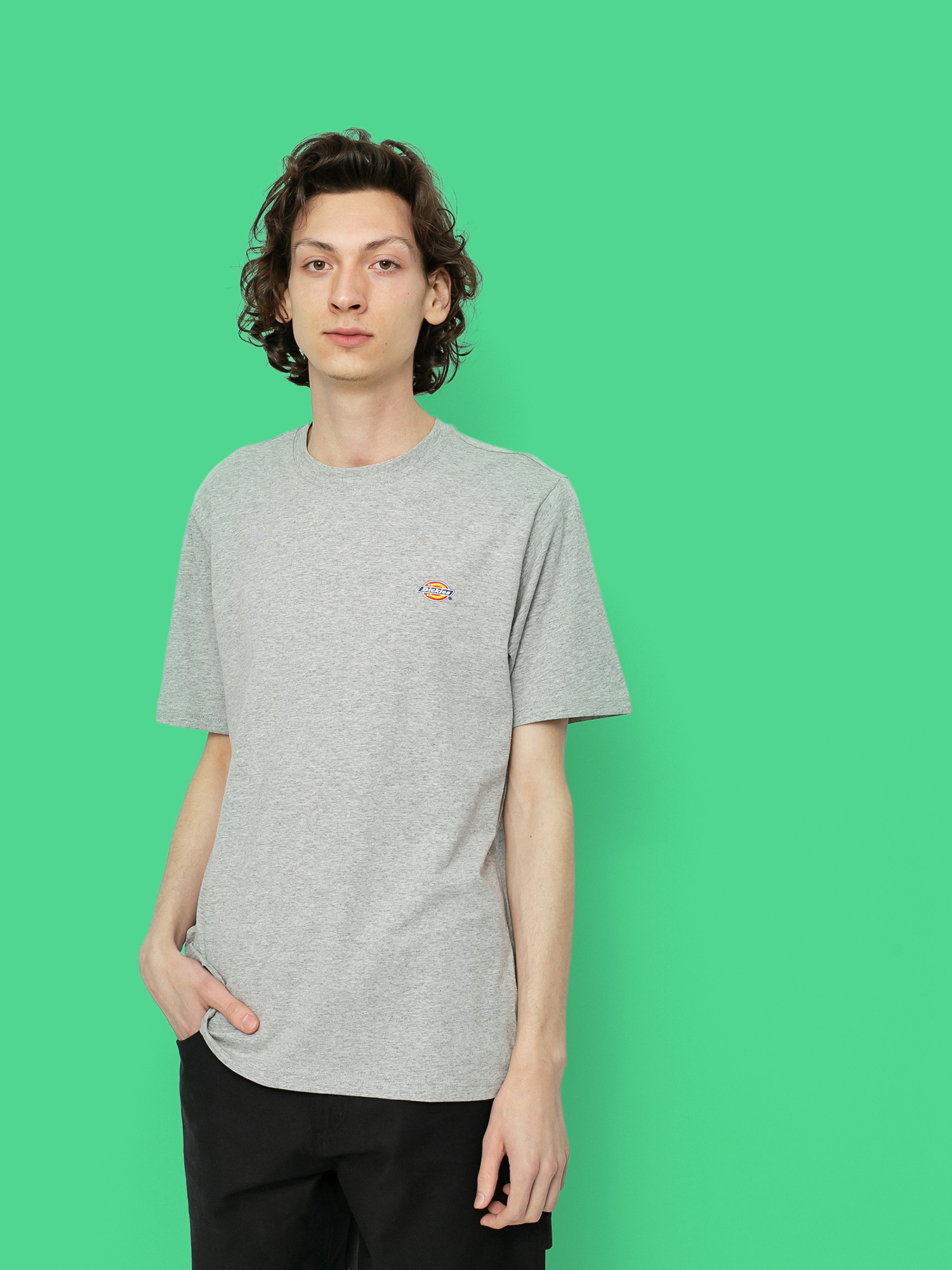 T-shirt Dickies Mapleton (grey melange)