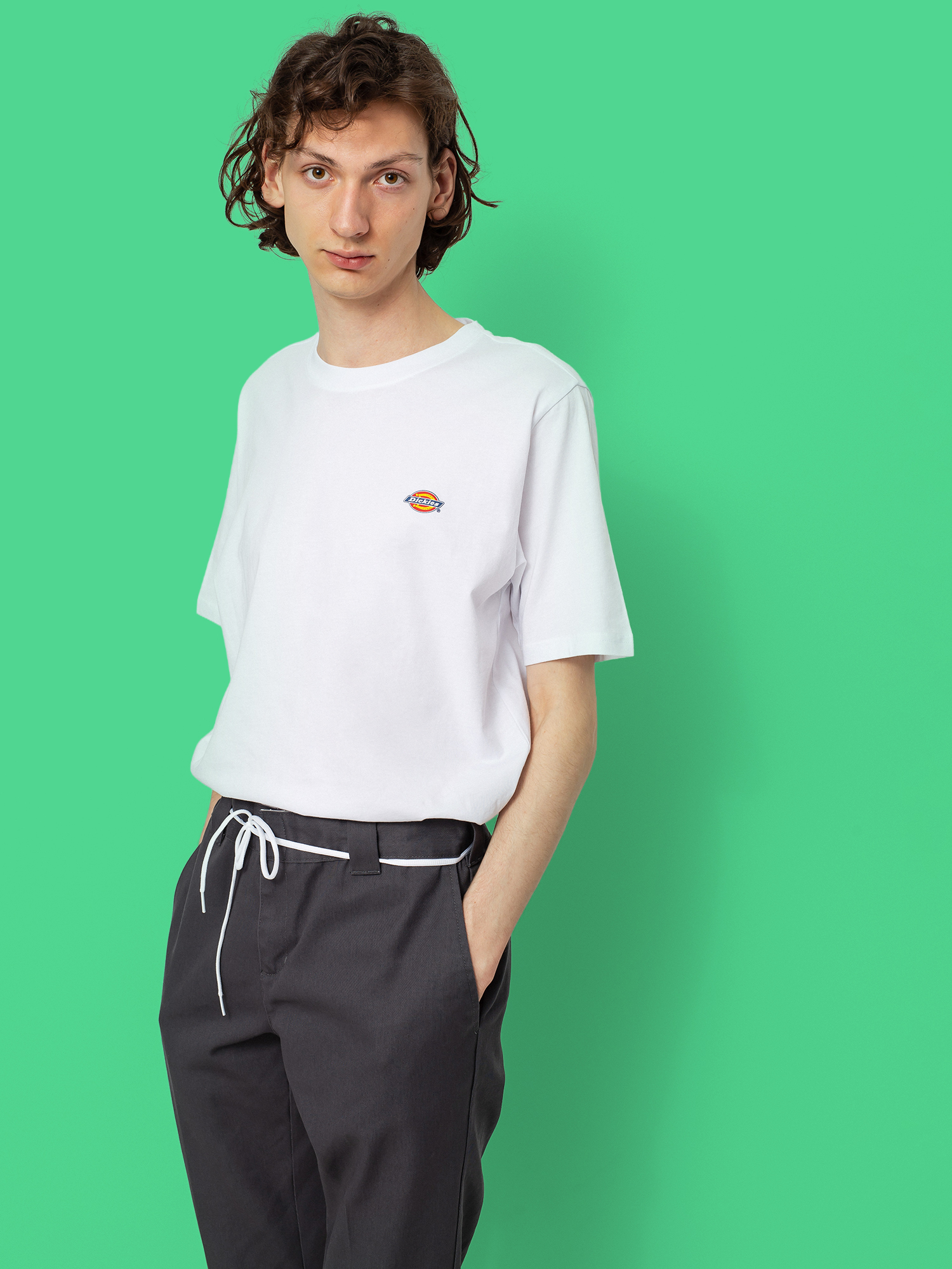 T-shirt Dickies Mapleton (white)