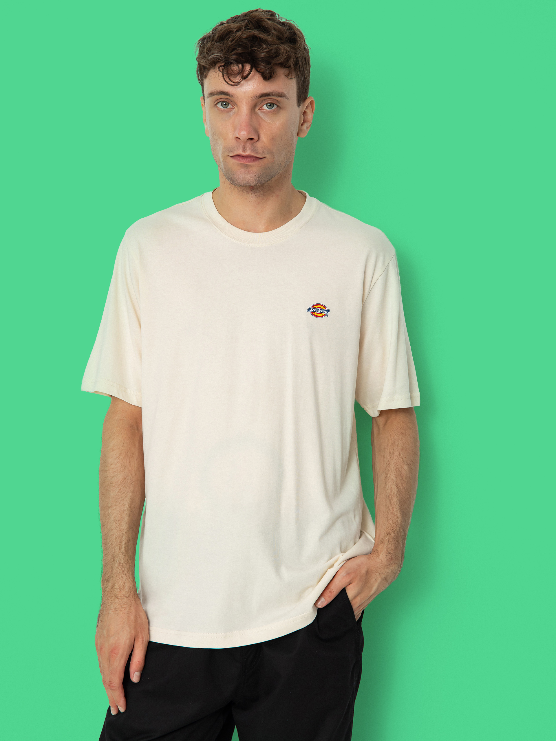 T-shirt Dickies Mapleton (whitecap gray)