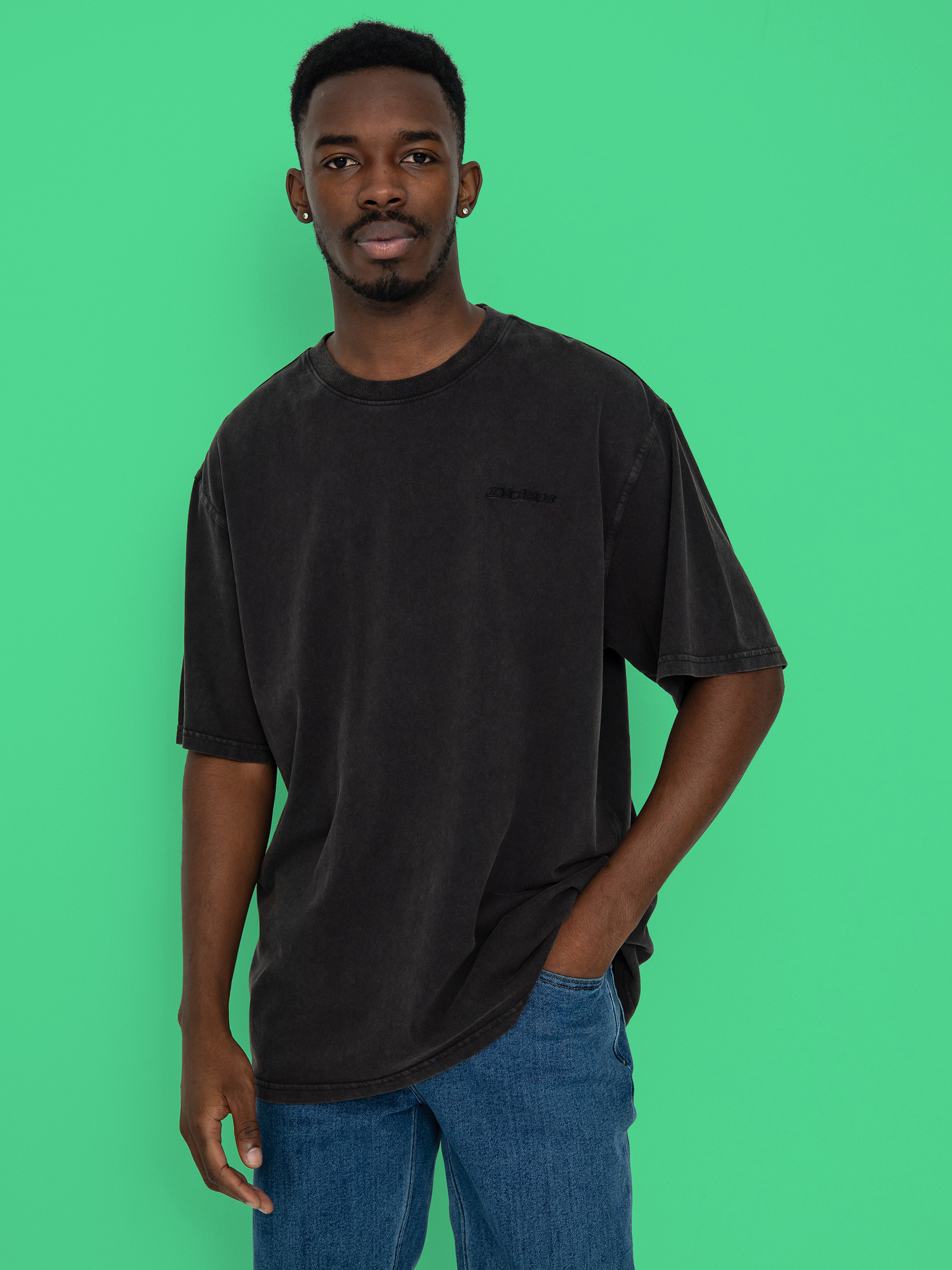T-shirt Dickies Plentywood (dble dye/acd bl)