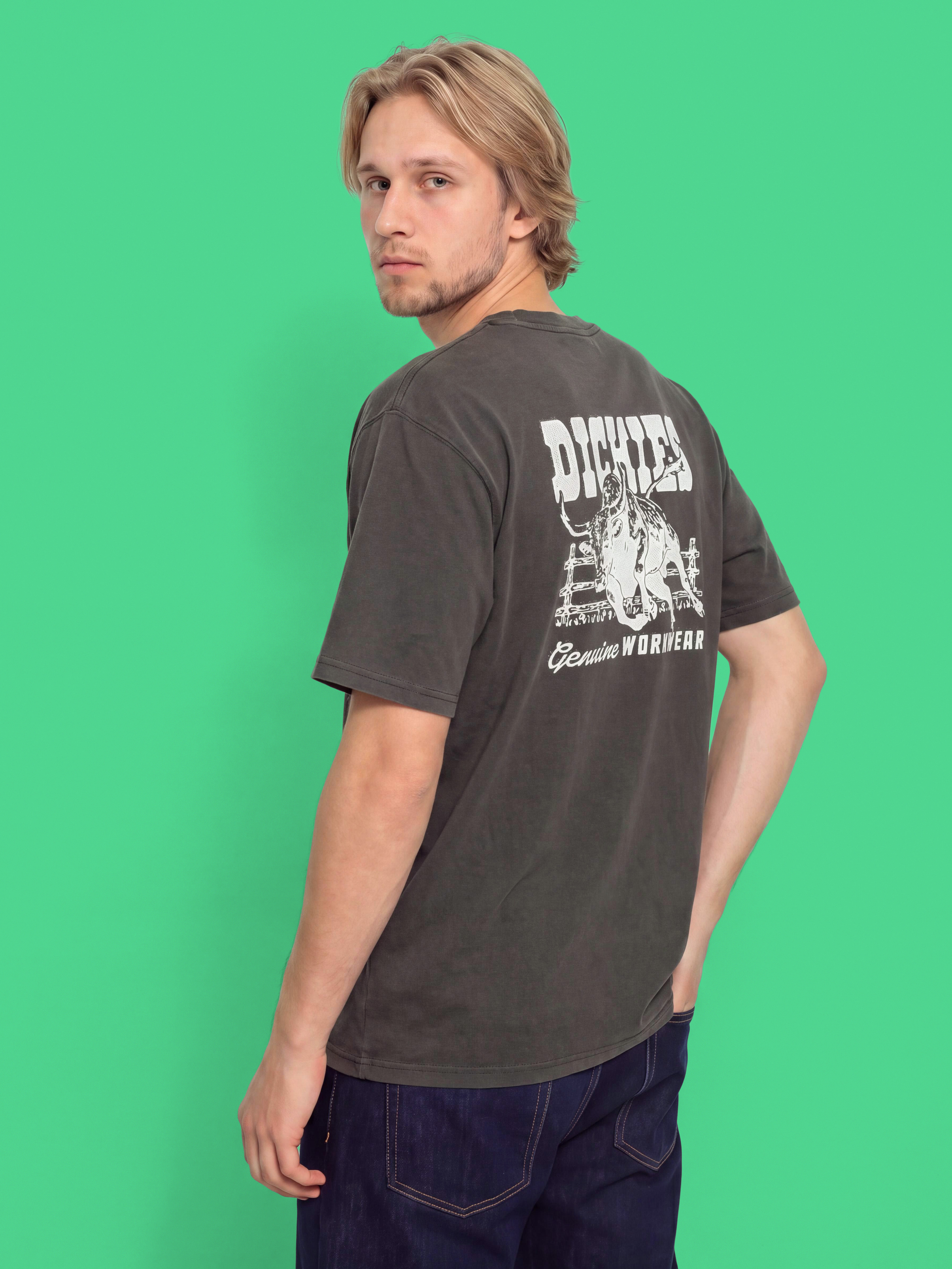 T-shirt Dickies Buchtell (black)