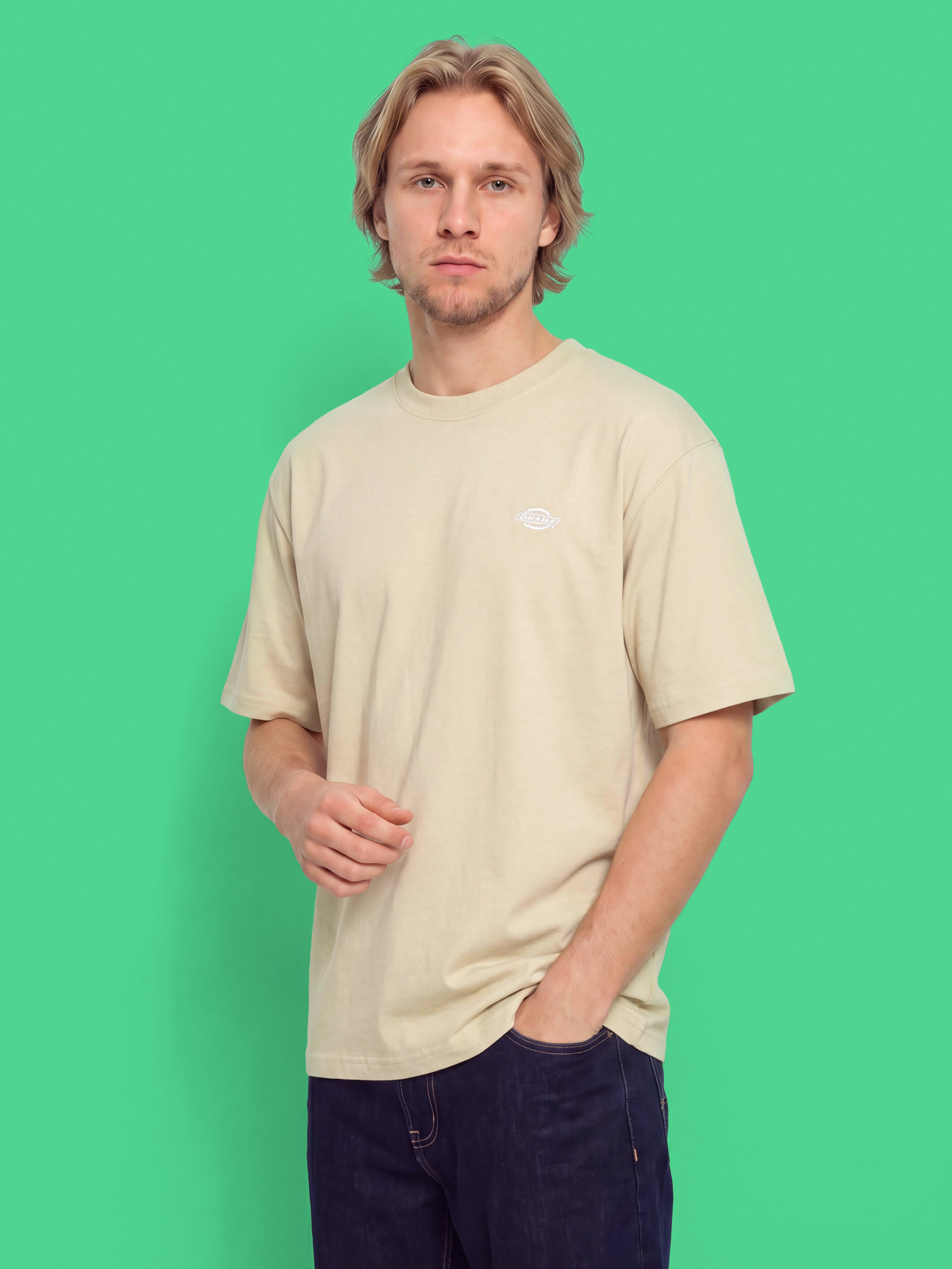 T-shirt Dickies Summerdale (eucalyptus)