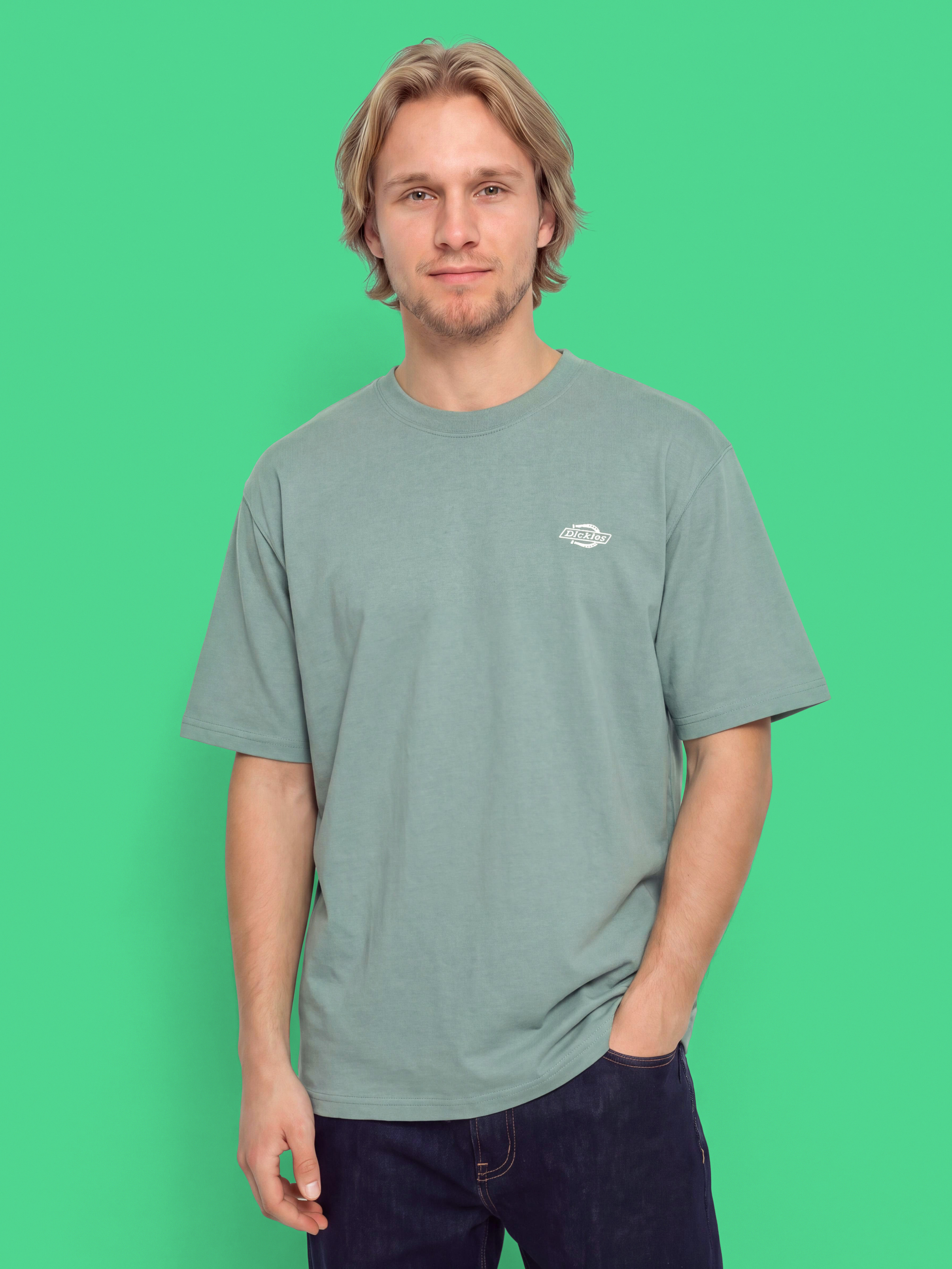 T-shirt Dickies Summerdale (stormy sea)