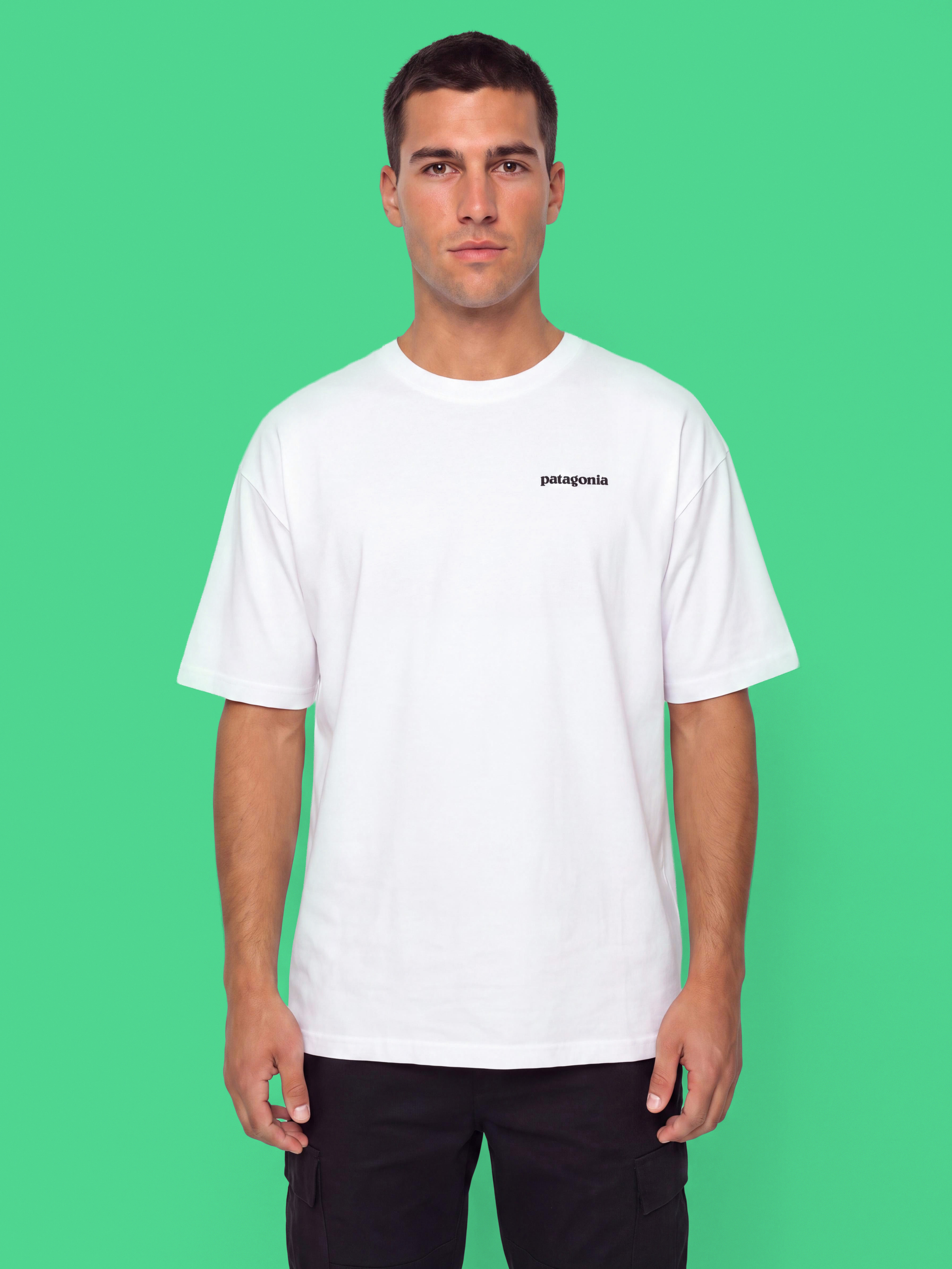 T-shirt Patagonia P6 Logo Responsibili (white)