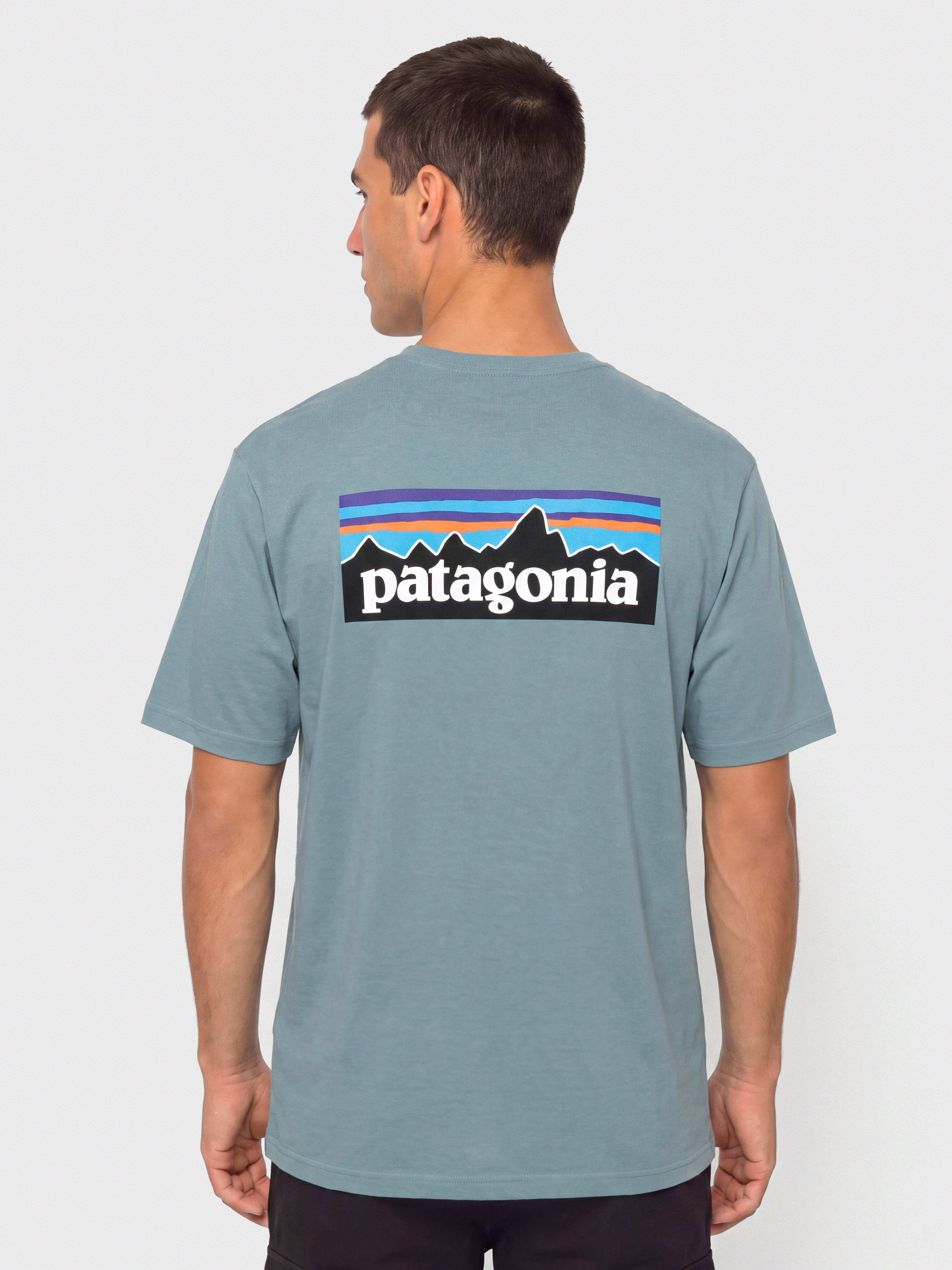 T-shirt Patagonia P 6 Logo (blue sage)