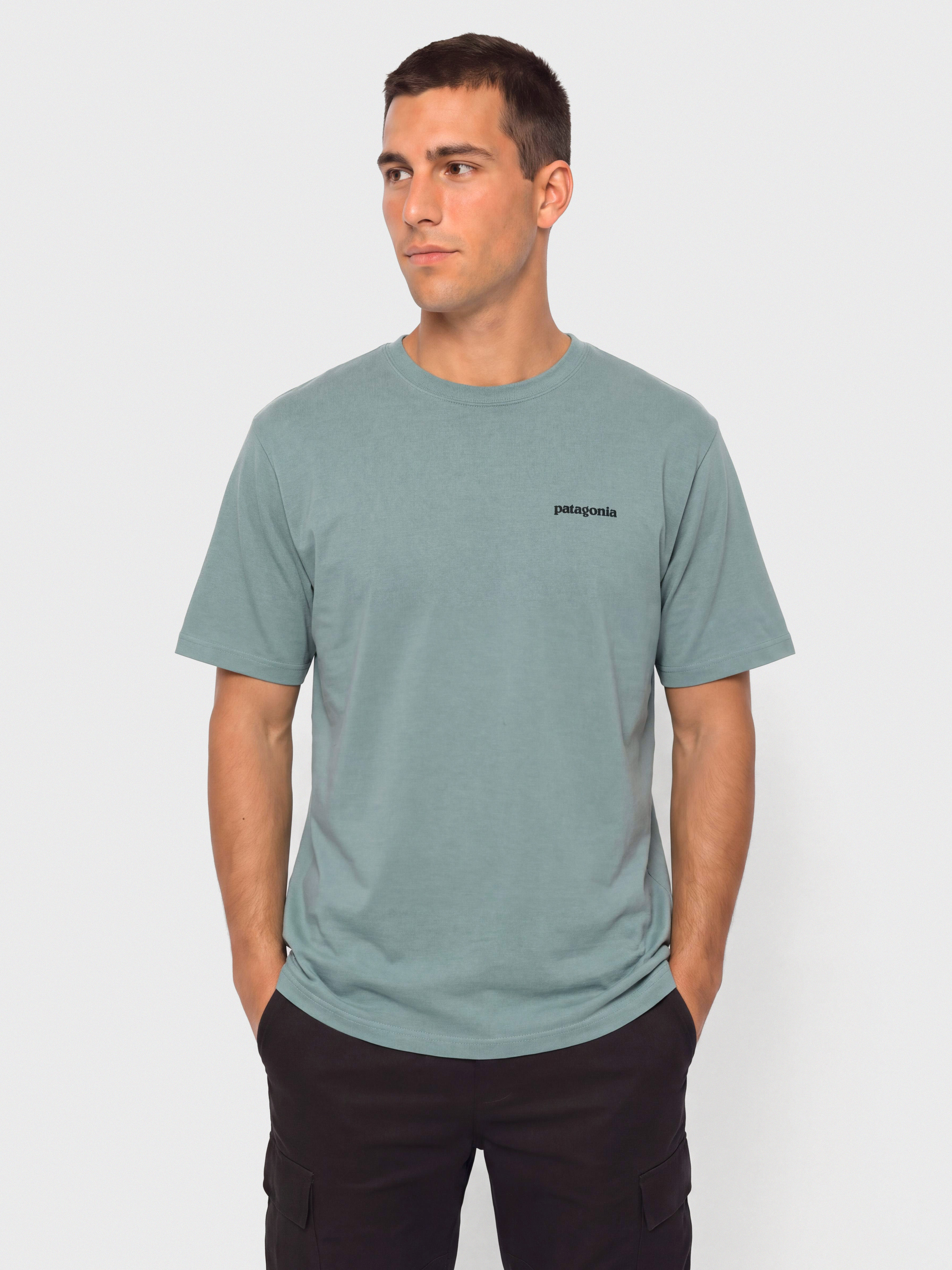 T-shirt Patagonia P 6 Logo (blue sage)