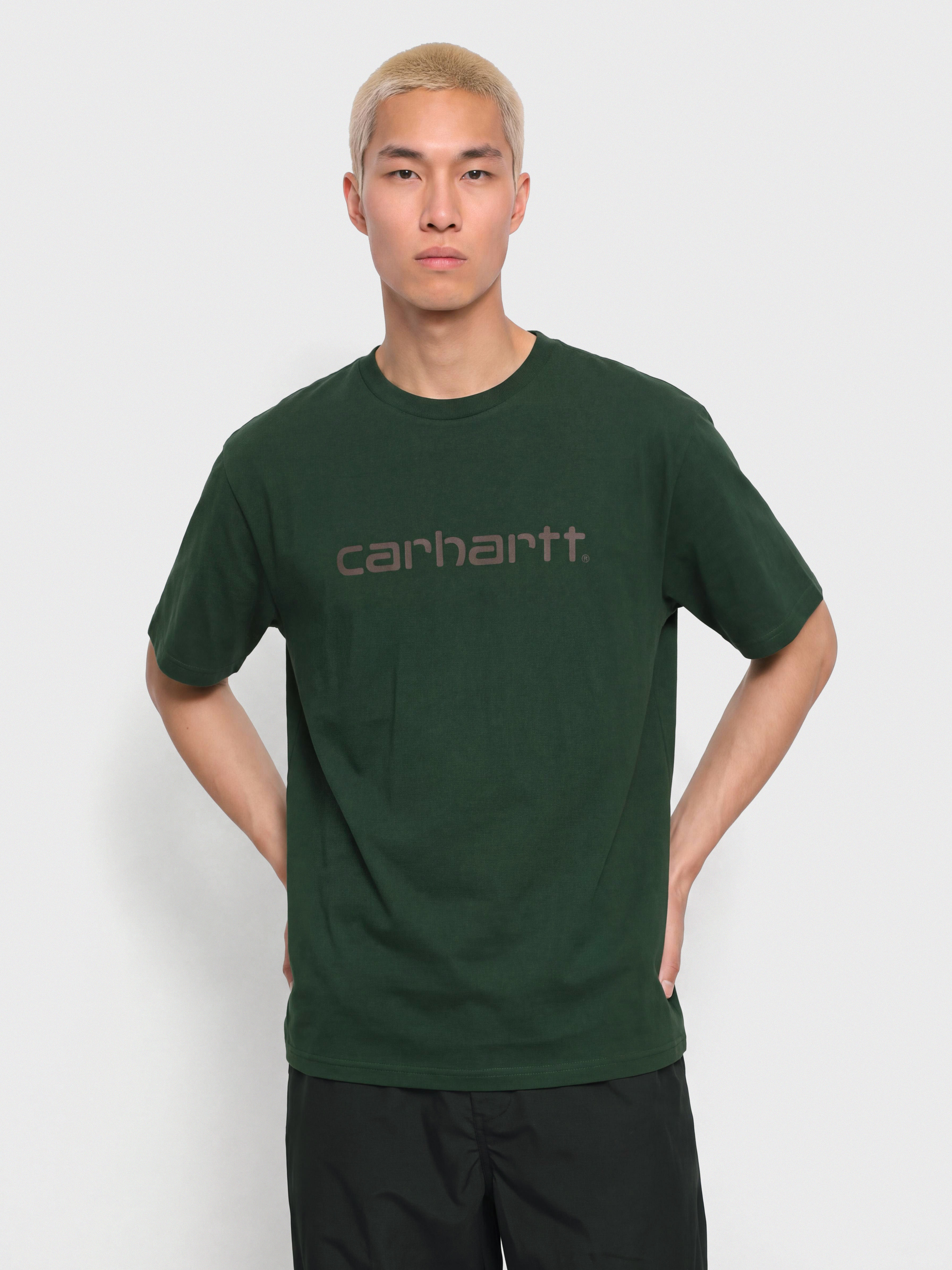 T-shirt Carhartt WIP Script (dark scarab/palisander)