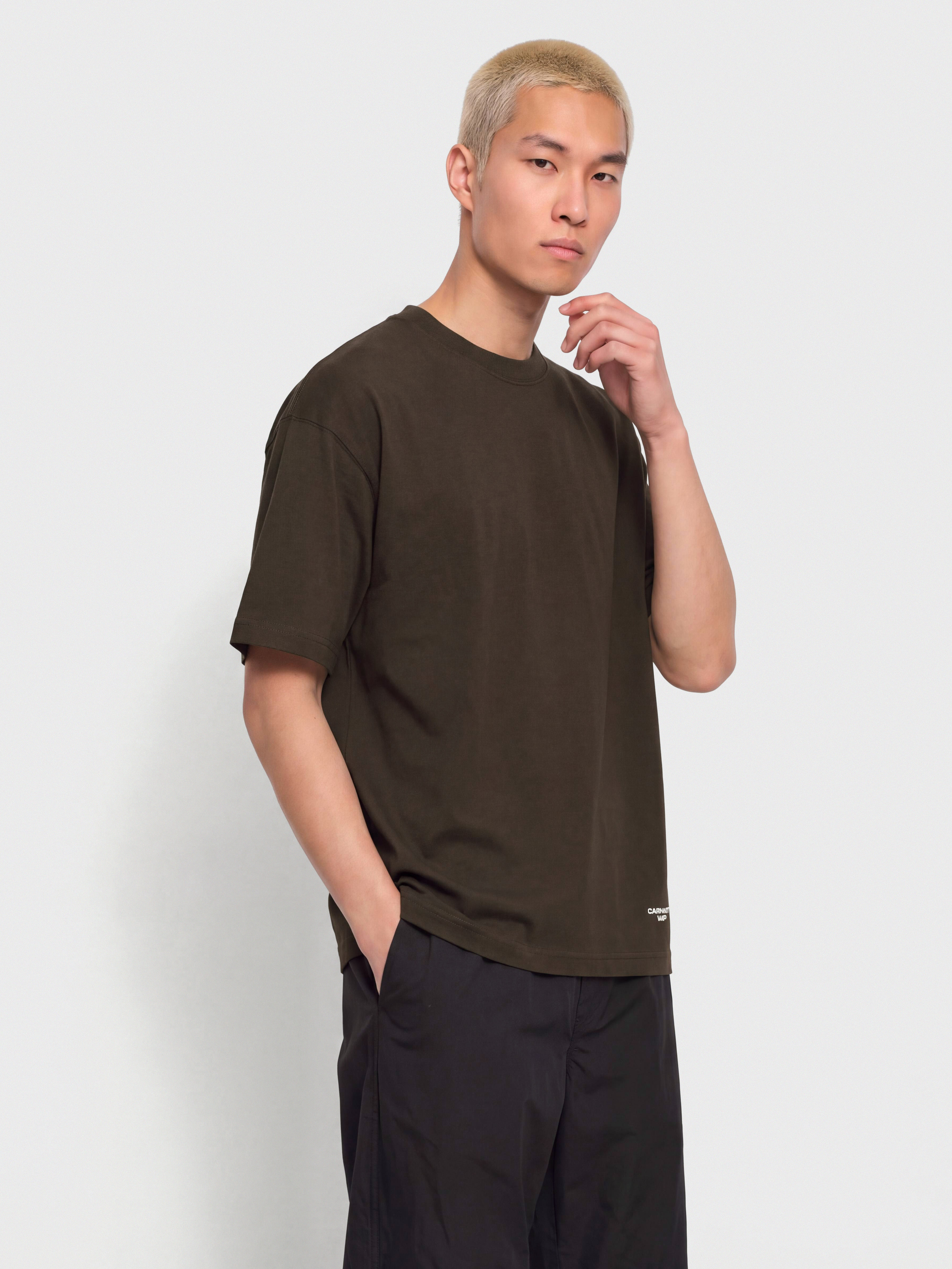 T-shirt Carhartt WIP Chapter Script (tobacco/white)