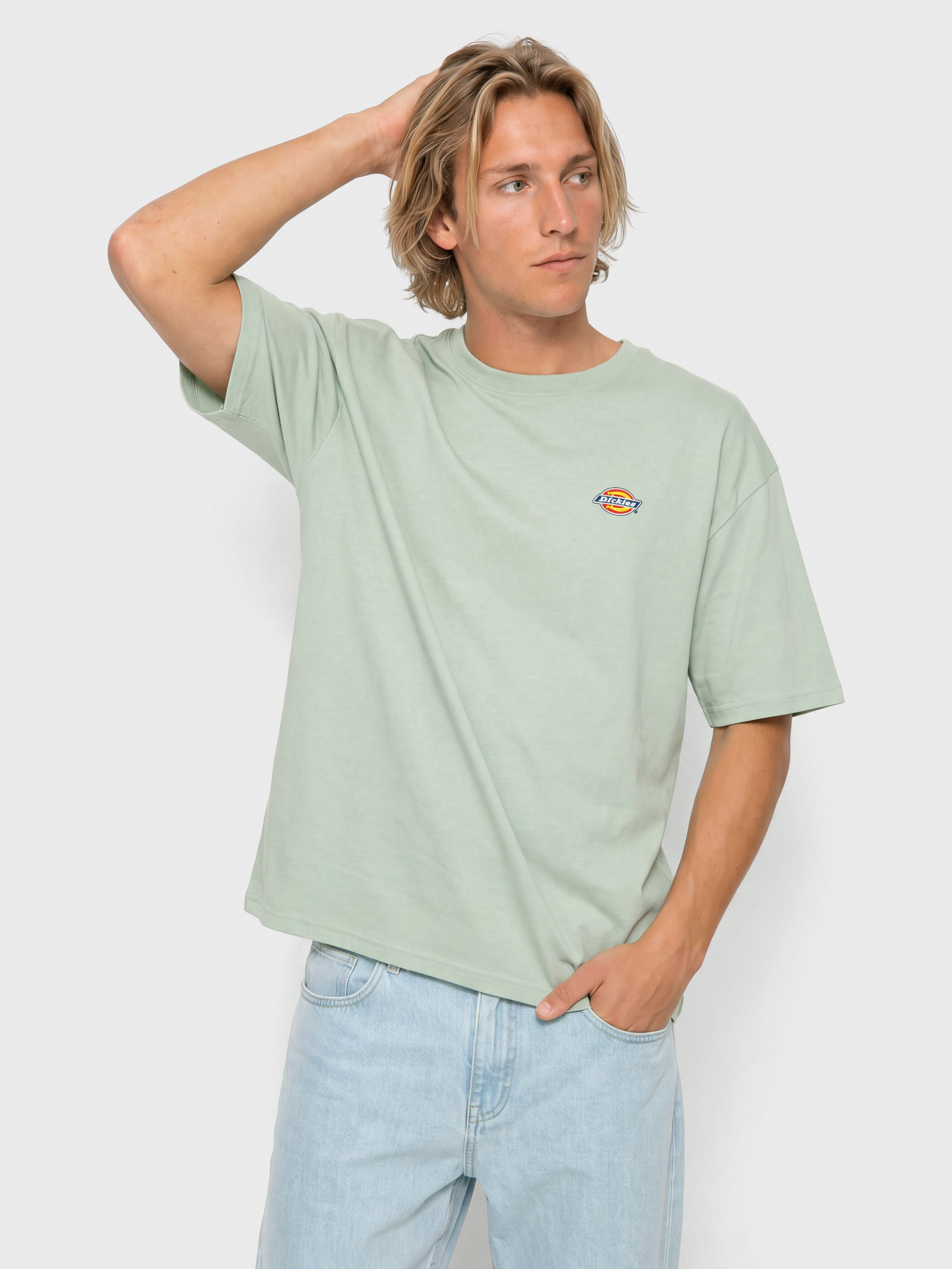 T-shirt Dickies Mapleton (jadeite)