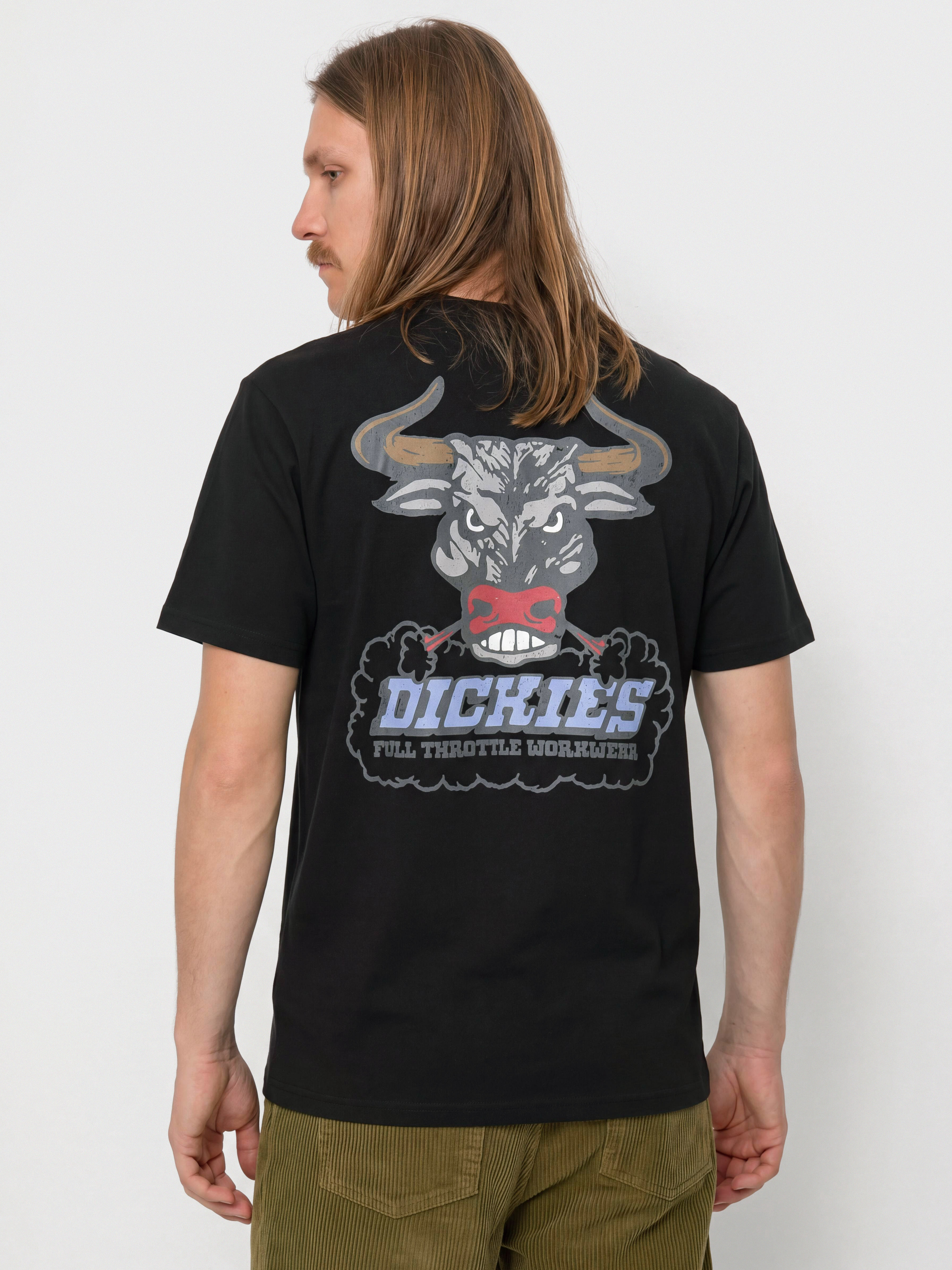 T-shirt Dickies Lakeridge (black)