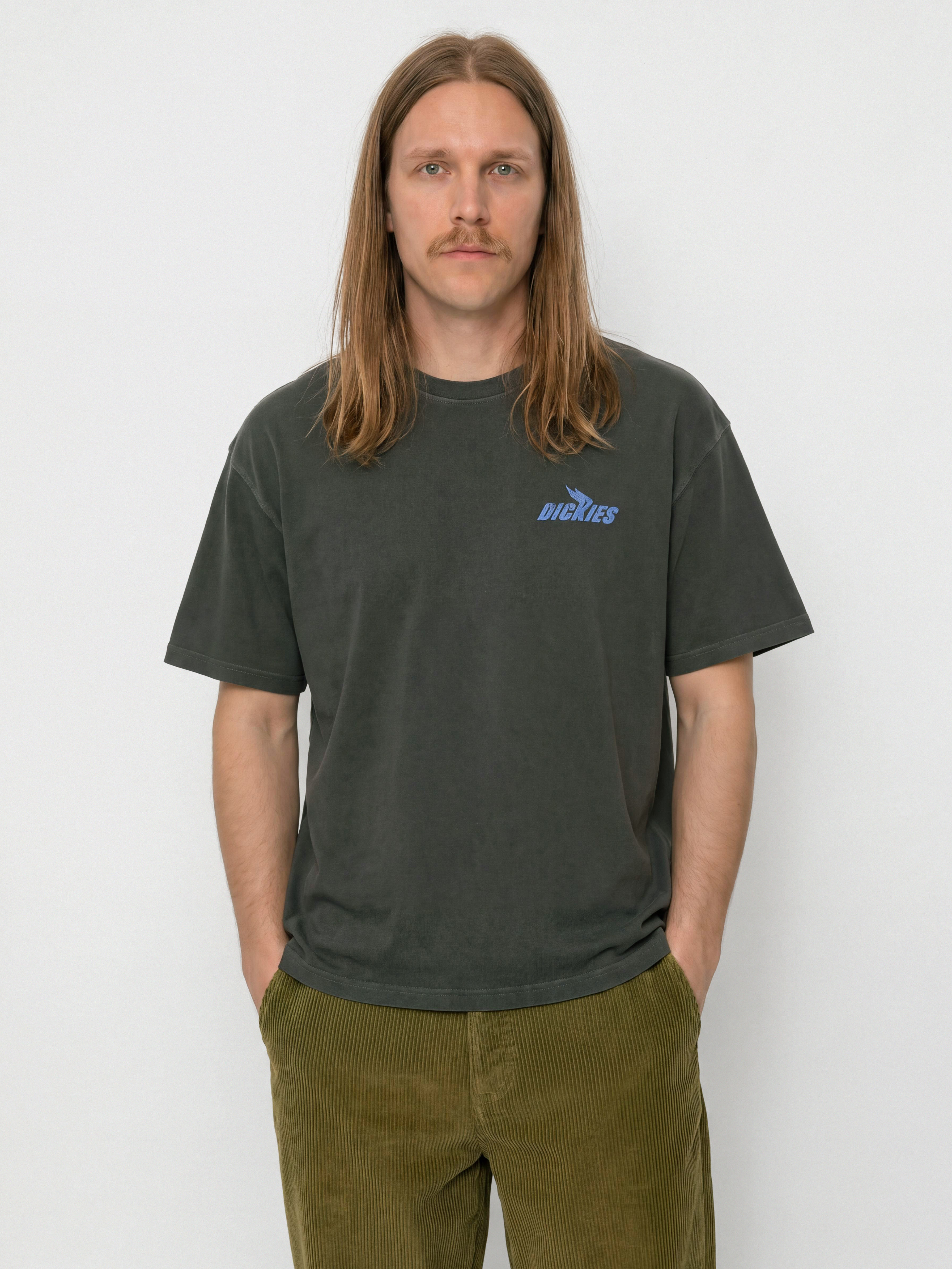 T-shirt Dickies Shonto (black)