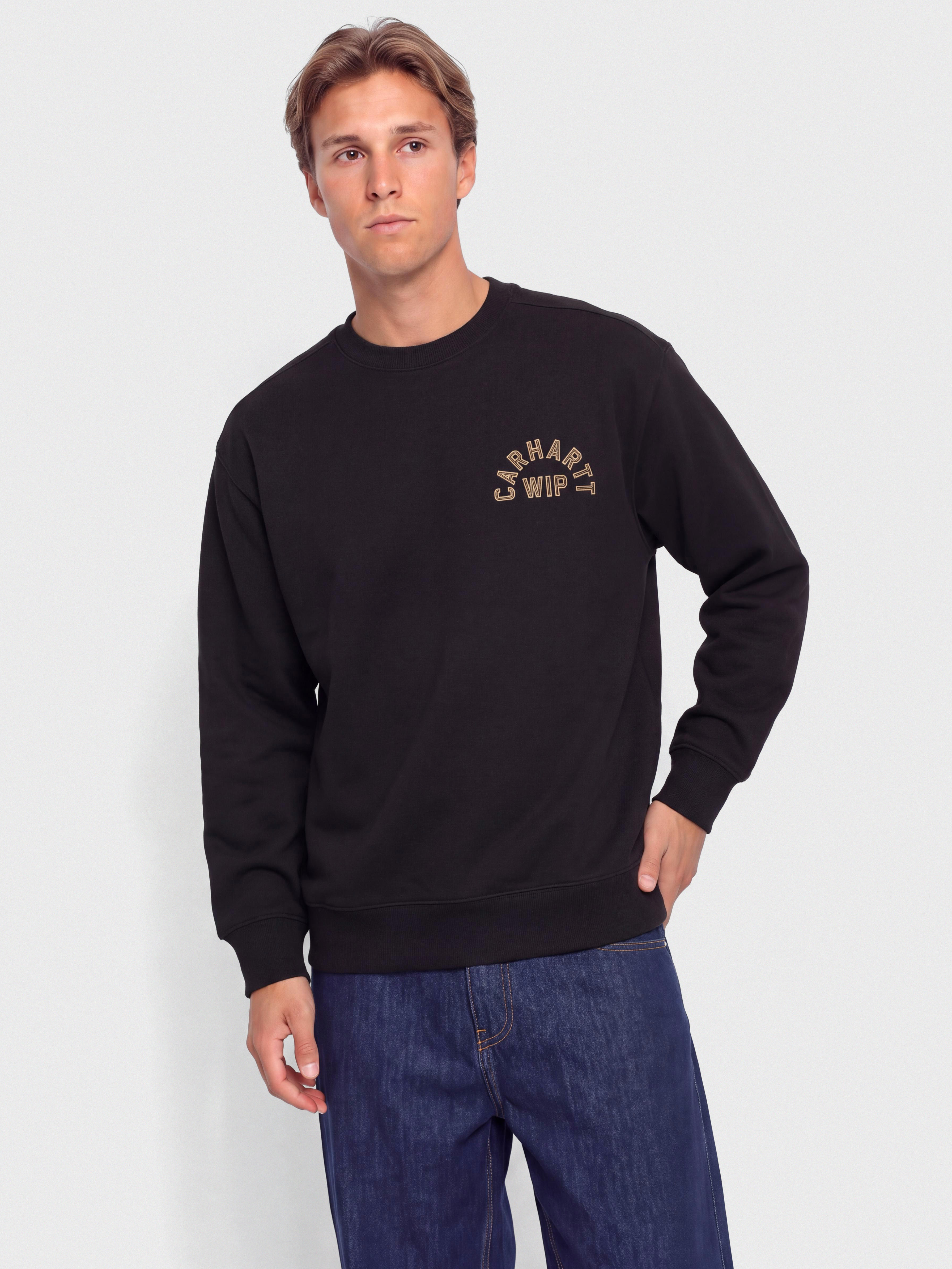 Bluza Carhartt WIP Arch Script (black/hamilton brown/stone washed)