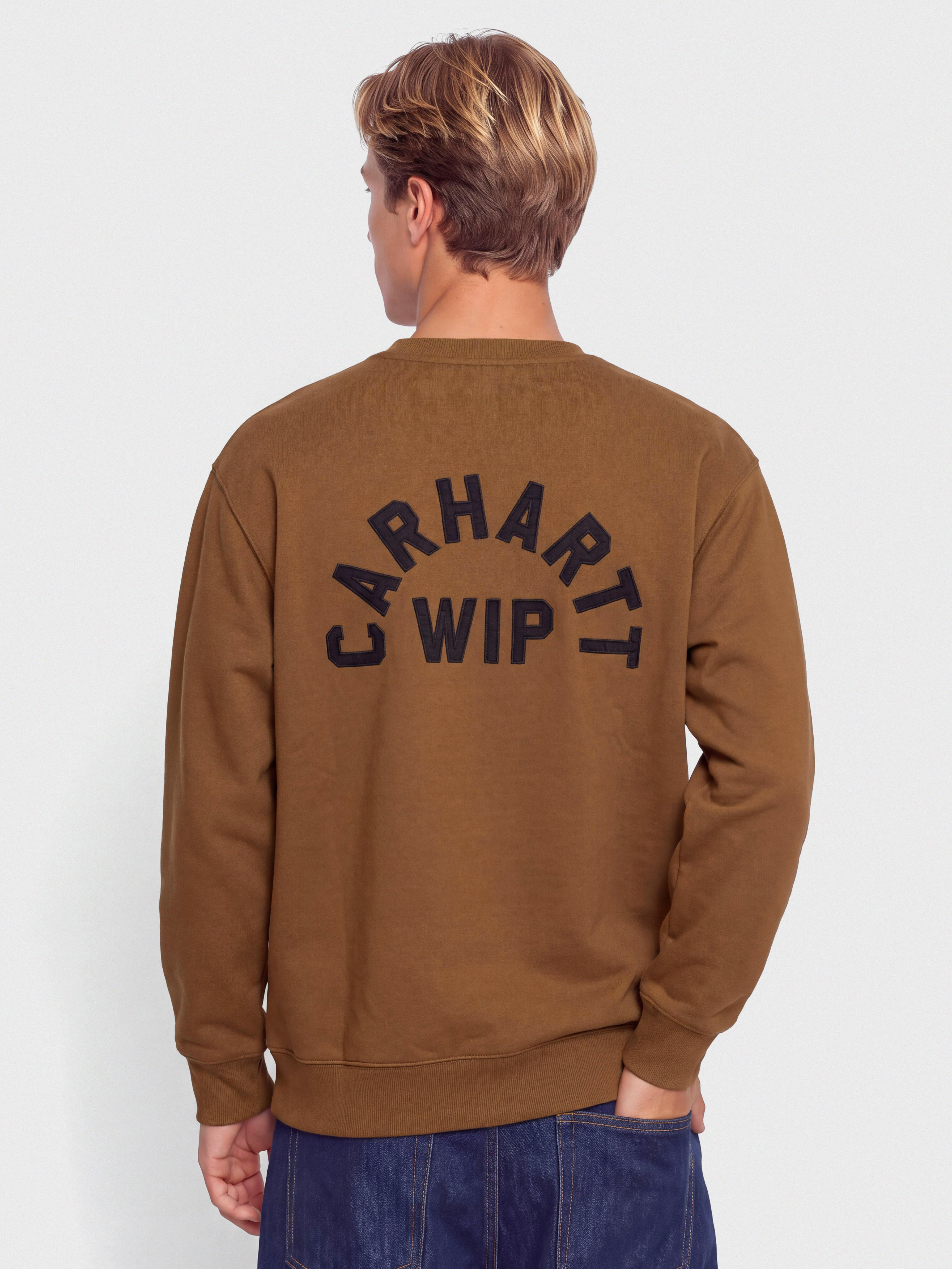 Bluza Carhartt WIP Arch Script